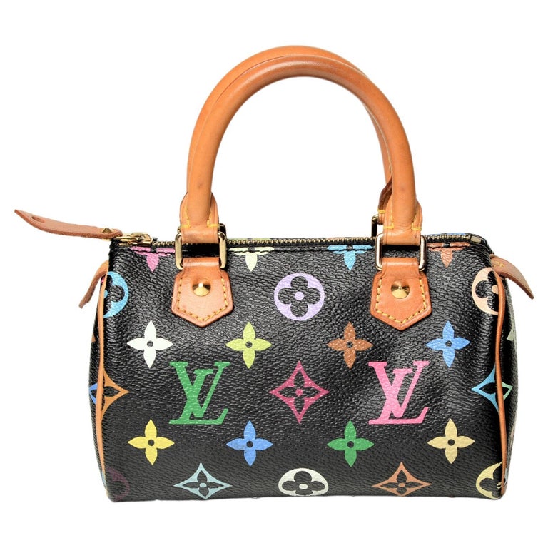 Louis Vuitton, Bags, Louis Vuitton Mini Speedy Multicolor With Additional  Strap