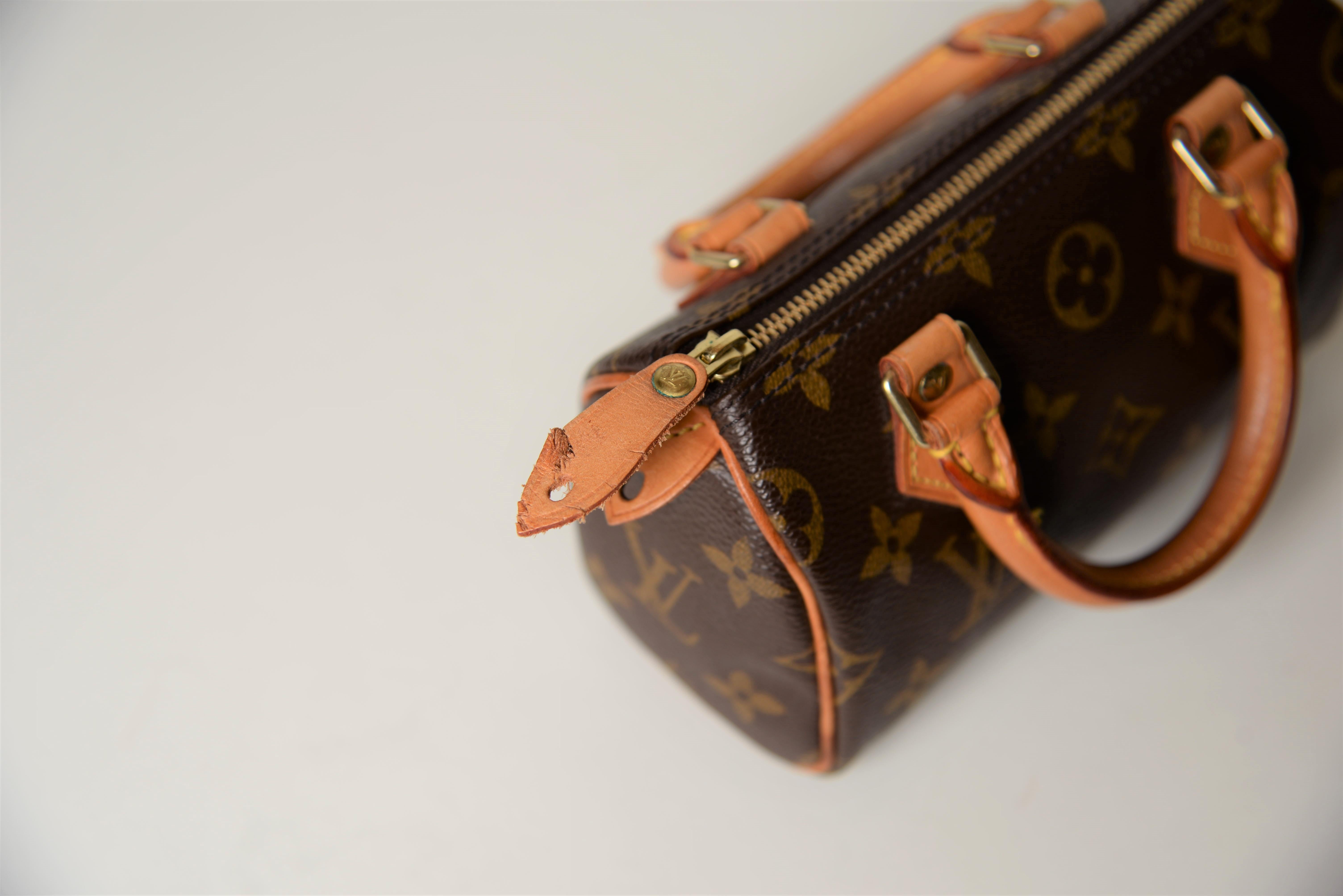Louis Vuitton Mini Speedy Monogram with Dustbag 2