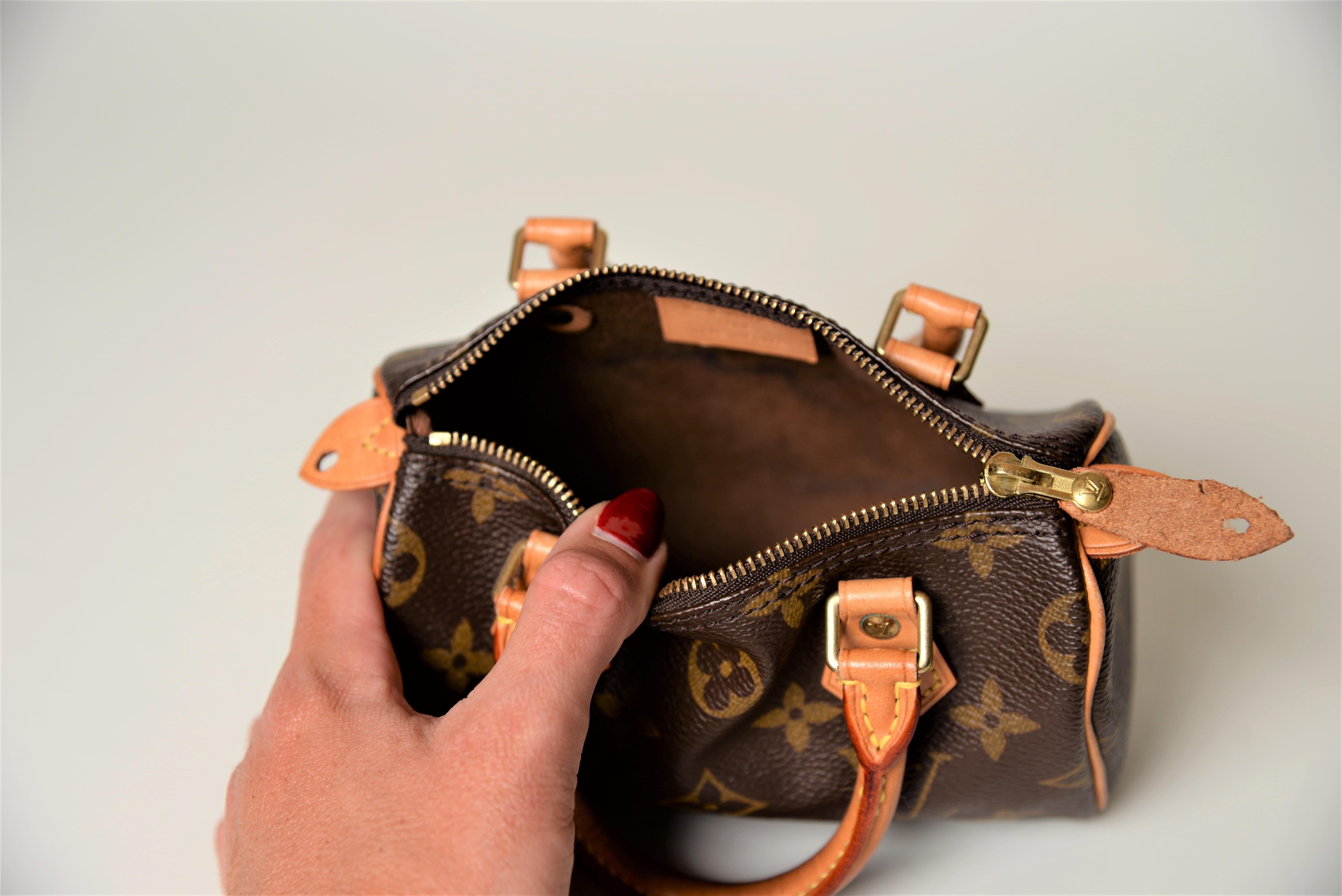 Louis Vuitton Mini Speedy Monogram with Dustbag 3