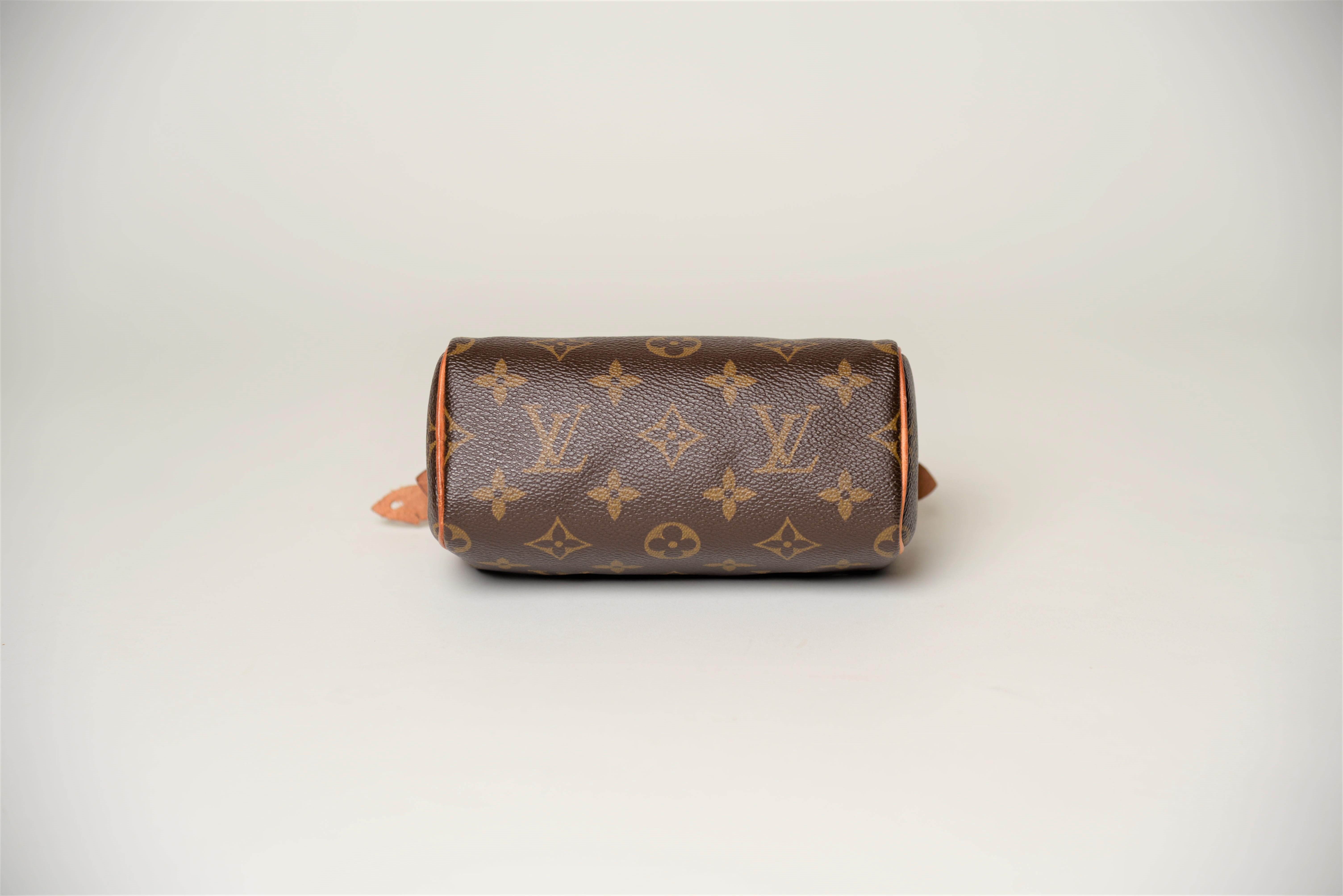 lv mini speedy bag