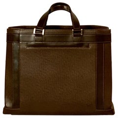 Louis Vuitton Moka Taiga Leather Tote Bag