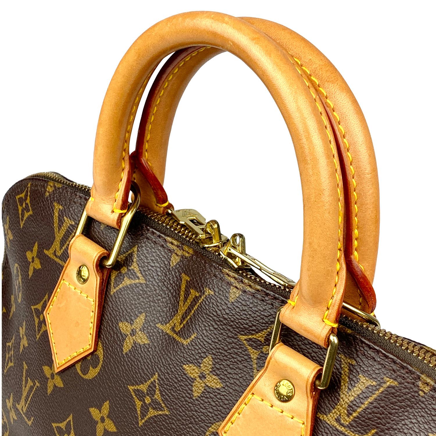 Women's Louis Vuitton Monogram Alma PM Handbag For Sale
