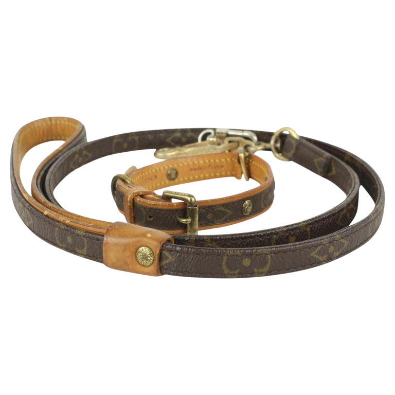 Louis Vuitton Leash And Collar - 2 For Sale on 1stDibs