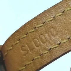 Louis Vuitton Monograma Baxter Correa para perros 863100