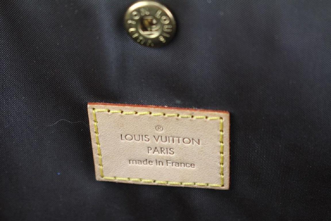 louis vuitton bag dog