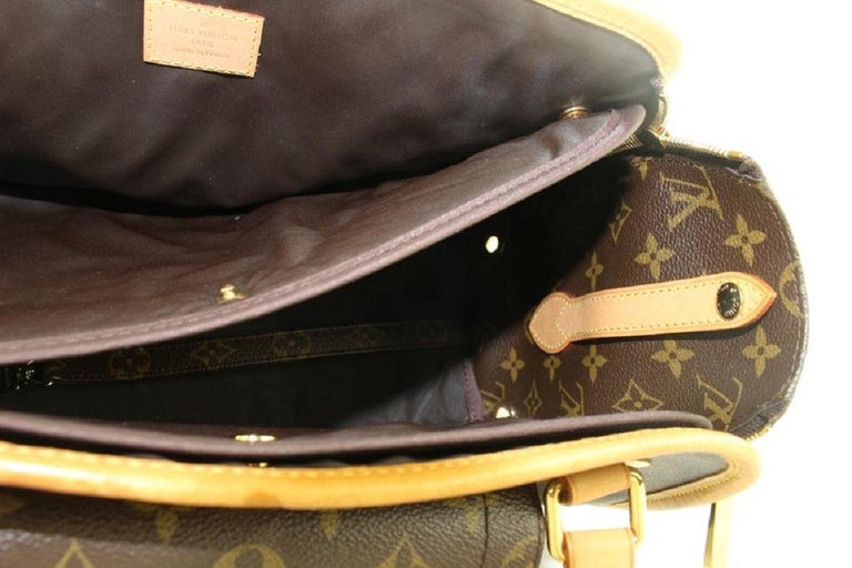 Louis Vuitton Cat Dog Bag
