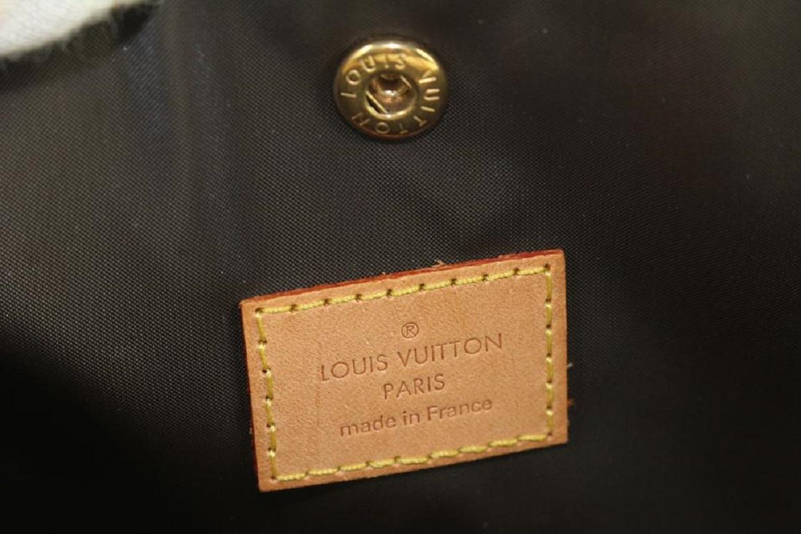 Gray Louis Vuitton Monogram Baxter PM Dog Cat Pet Carrier Bag 365lvs225