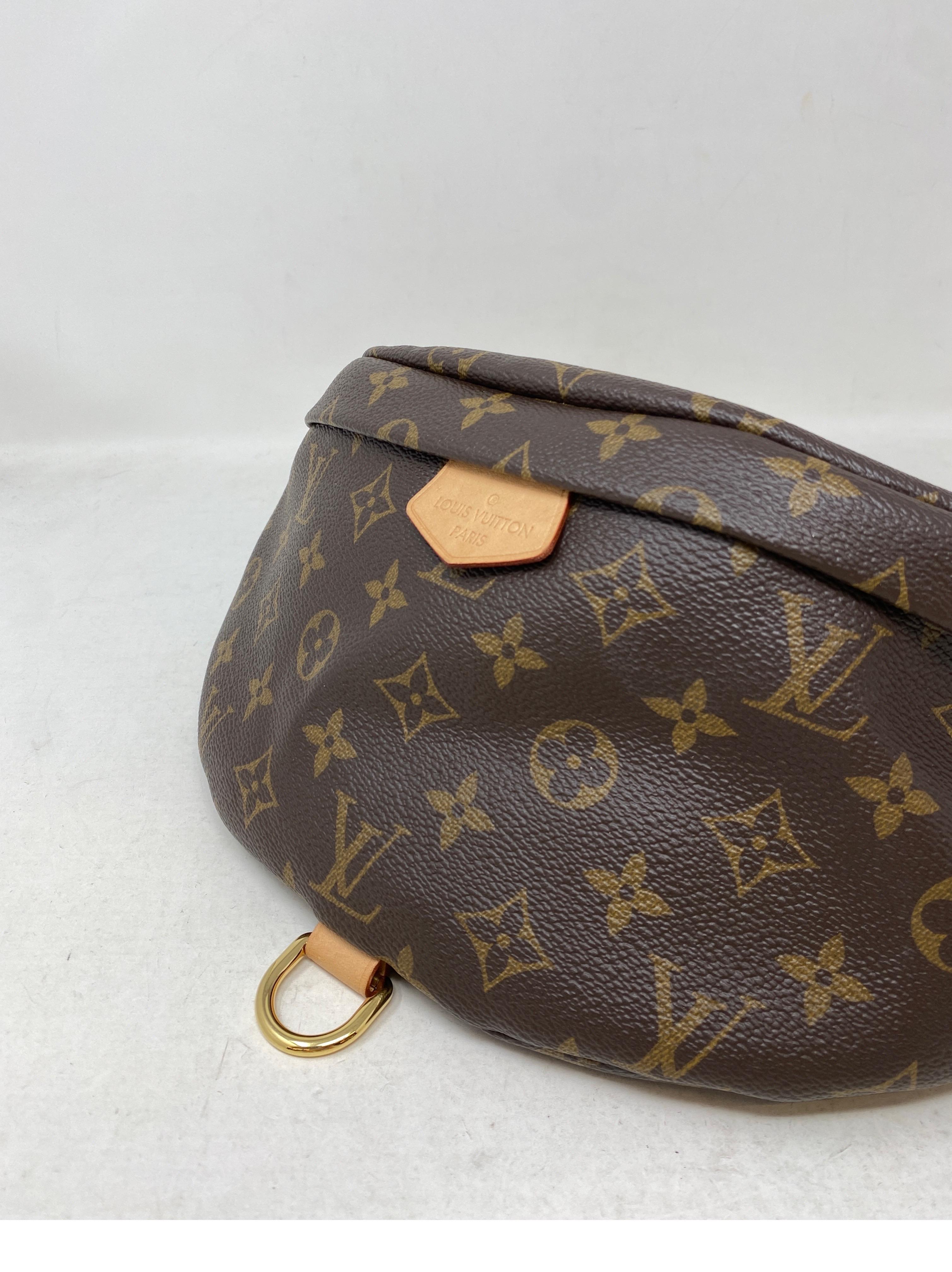 Louis Vuitton Monogram Bum Bag  3