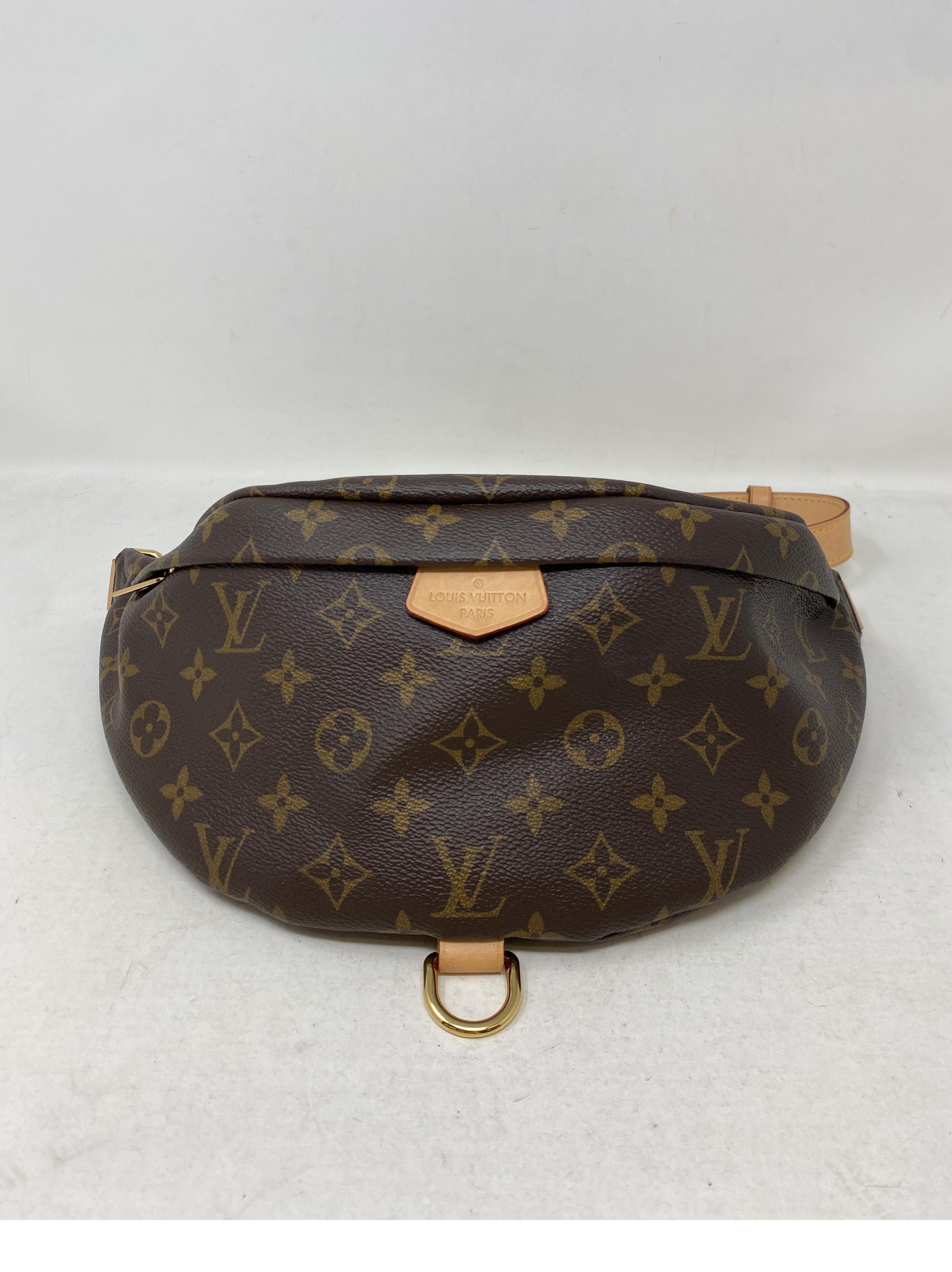 Louis Vuitton Monogram Bum Bag  4