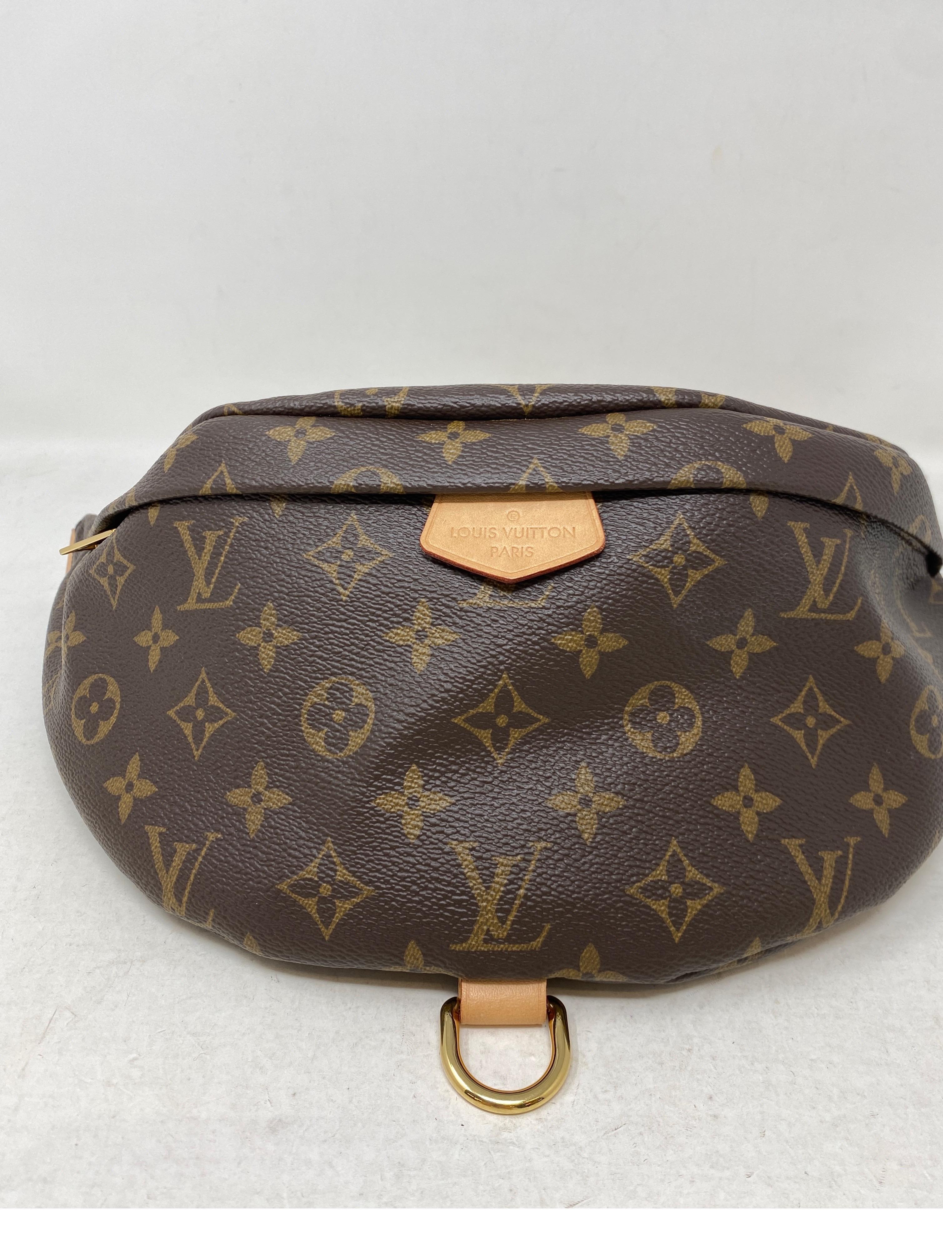 Louis Vuitton Monogram Bum Bag  5