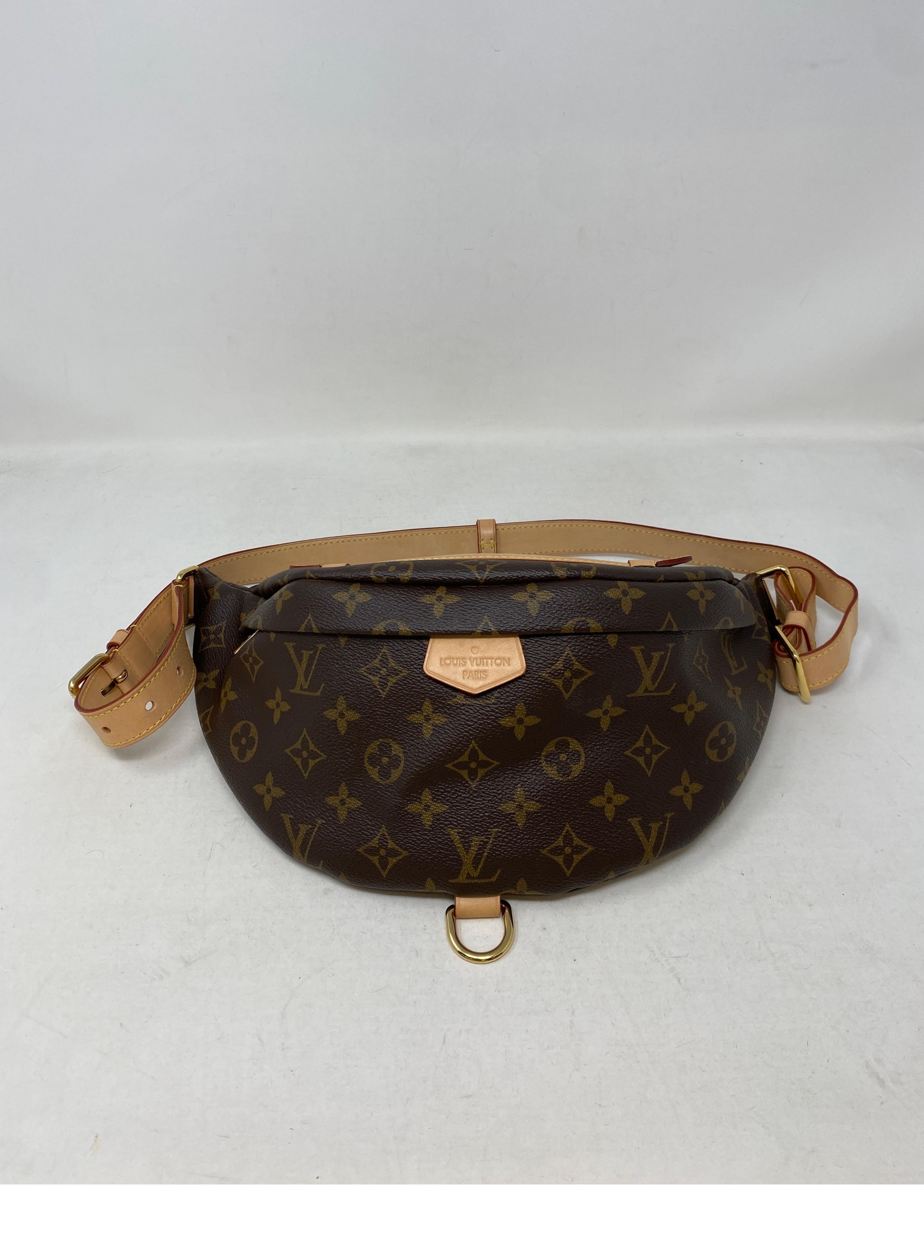Louis Vuitton Monogram Bum Bag  8