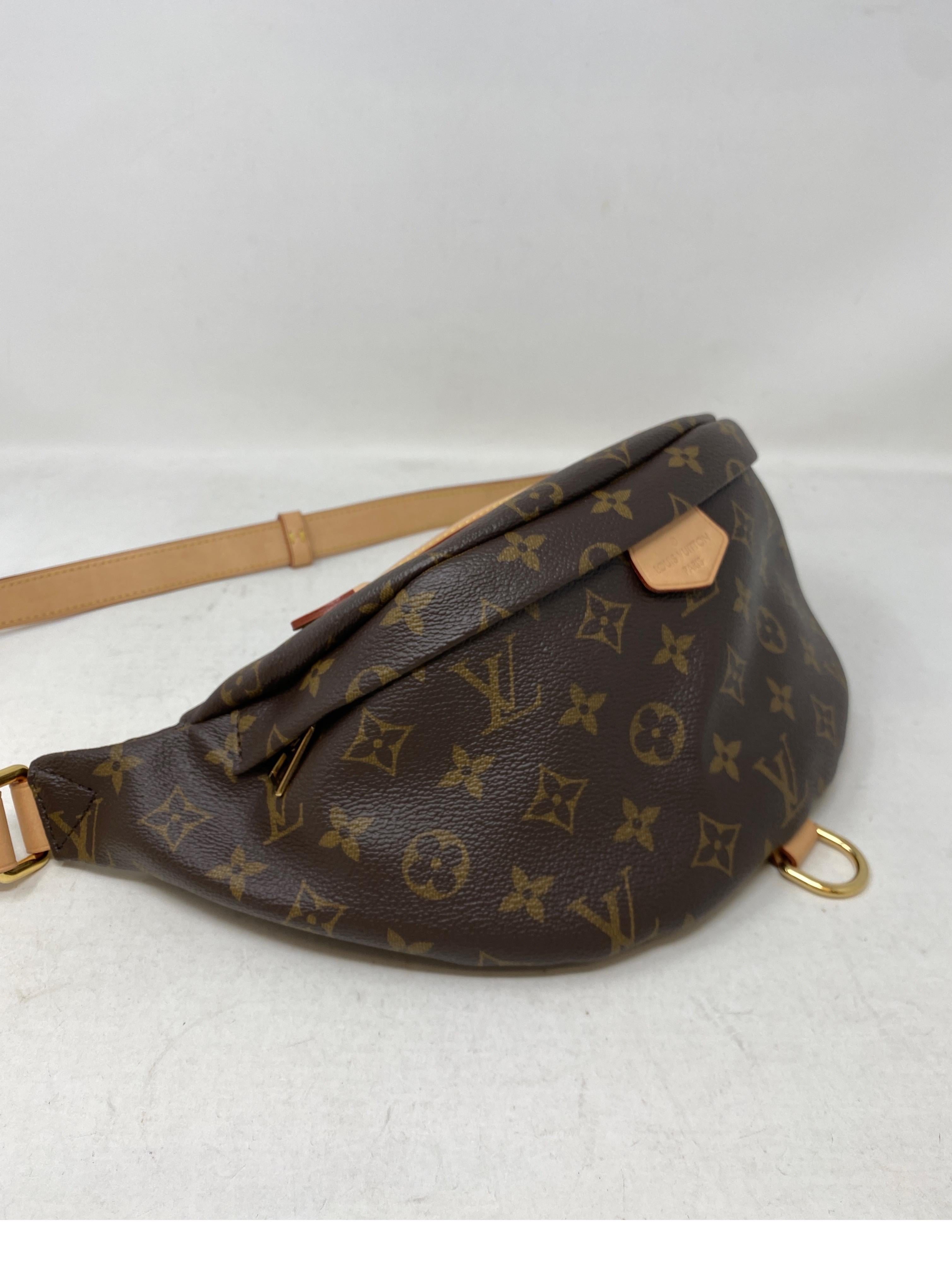 Louis Vuitton Monogram Bum Bag  10
