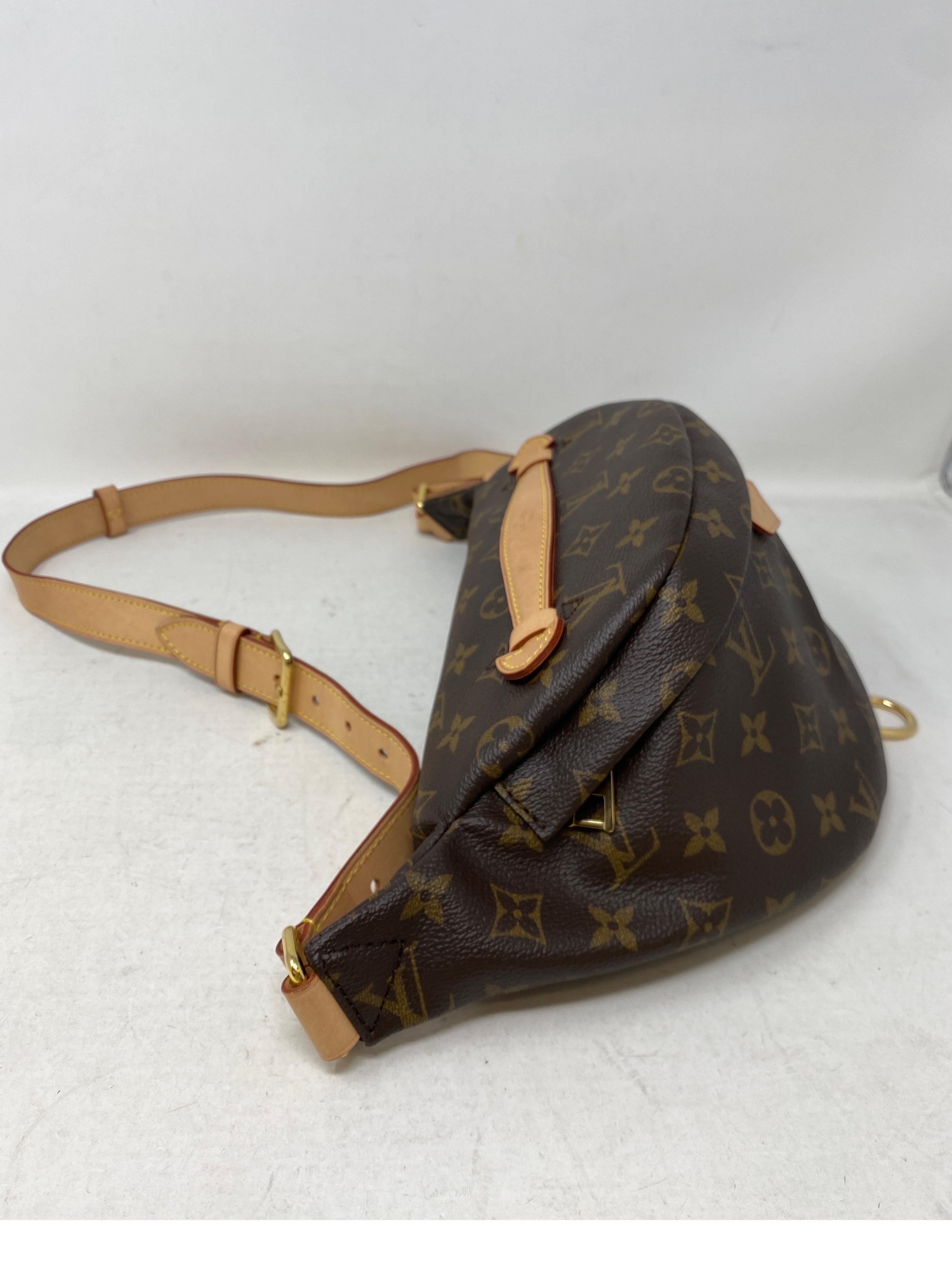Louis Vuitton Monogram Bum Bag  11