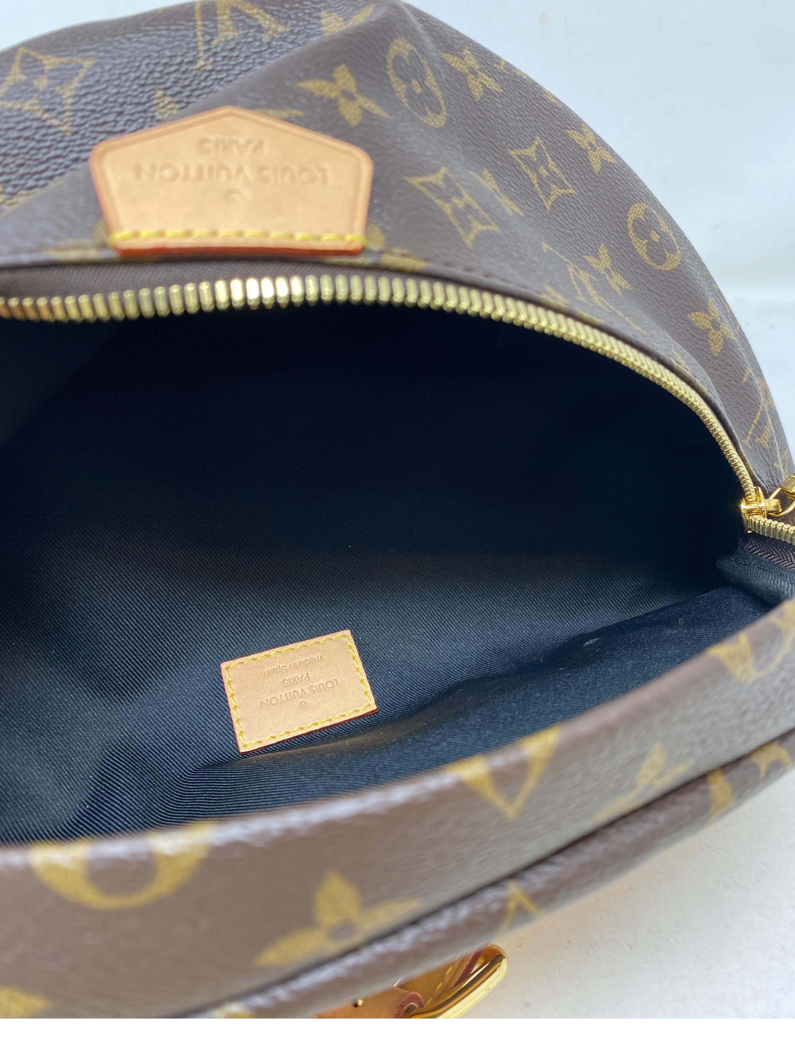 Louis Vuitton Monogram Bum Bag  12