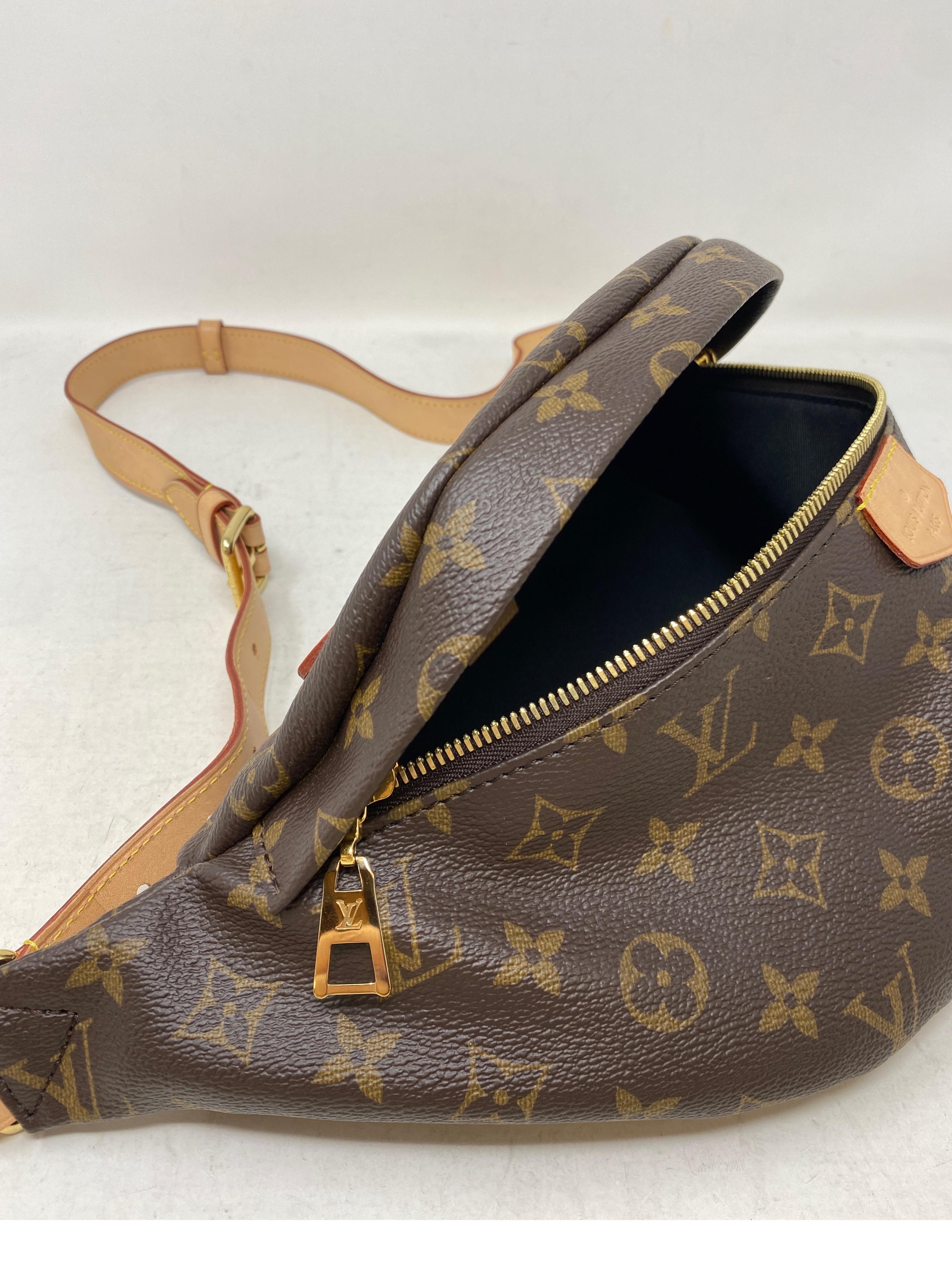 Louis Vuitton Monogram Bum Bag  13