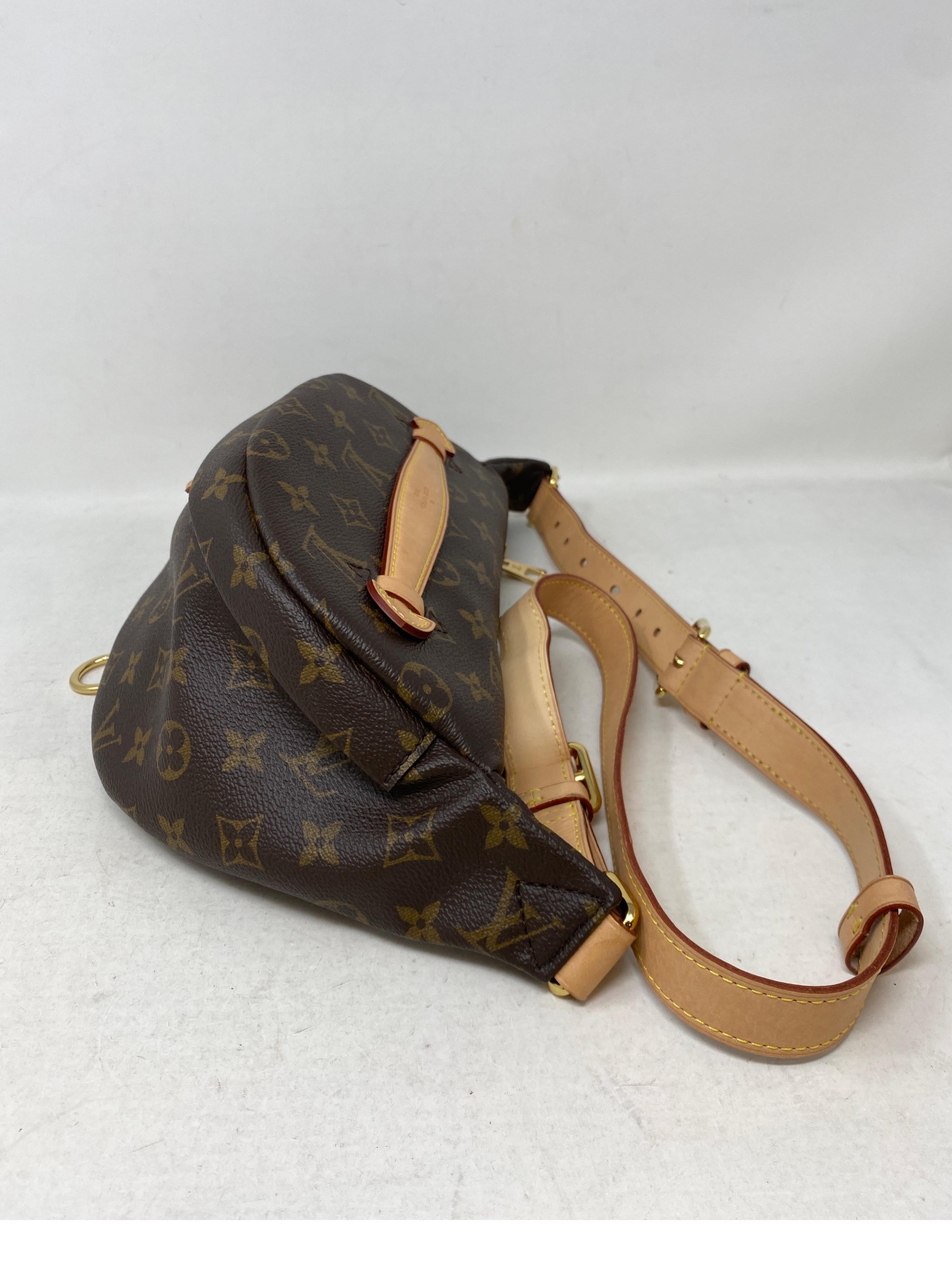 Women's or Men's Louis Vuitton Monogram Bum Bag