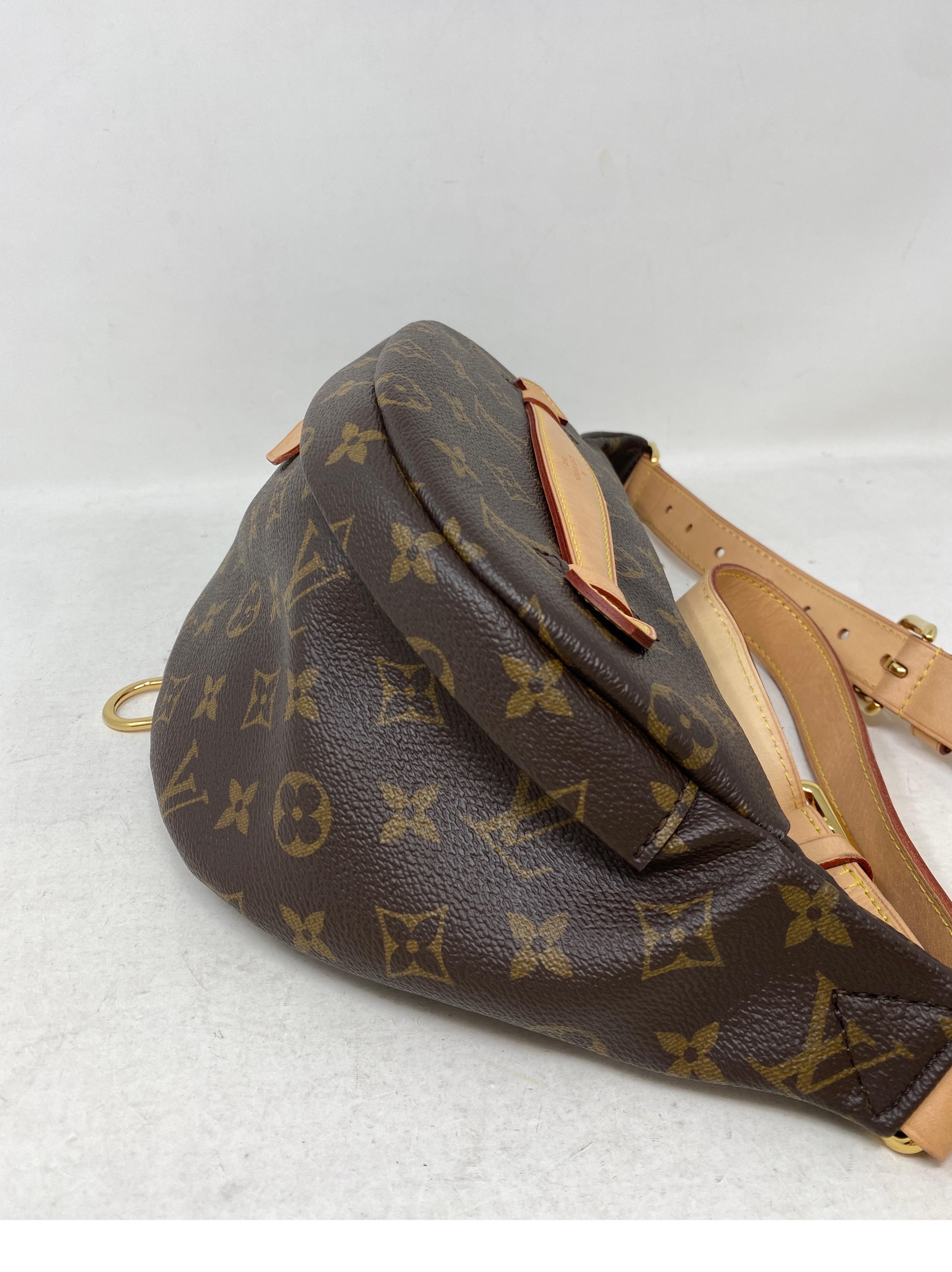 Louis Vuitton Monogram Bum Bag  1