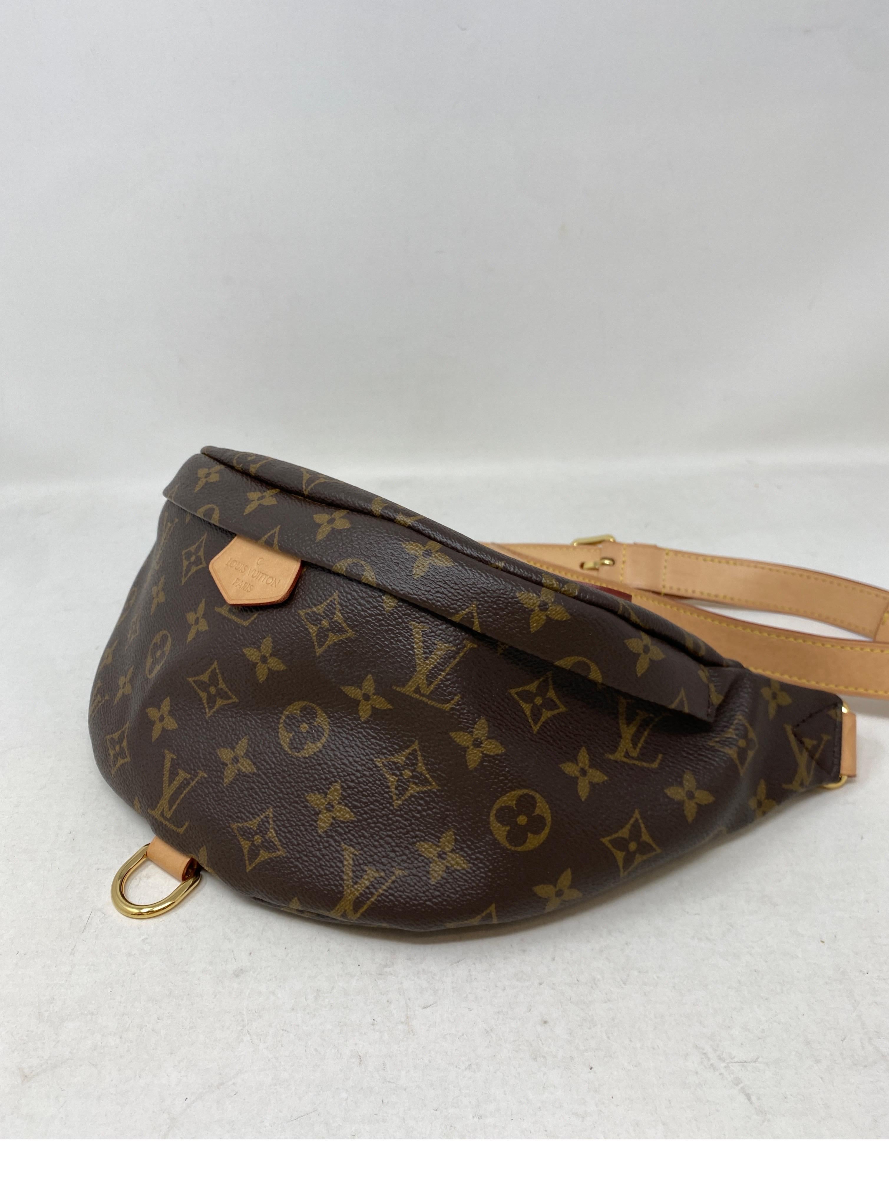 Louis Vuitton Monogram Bum Bag  2