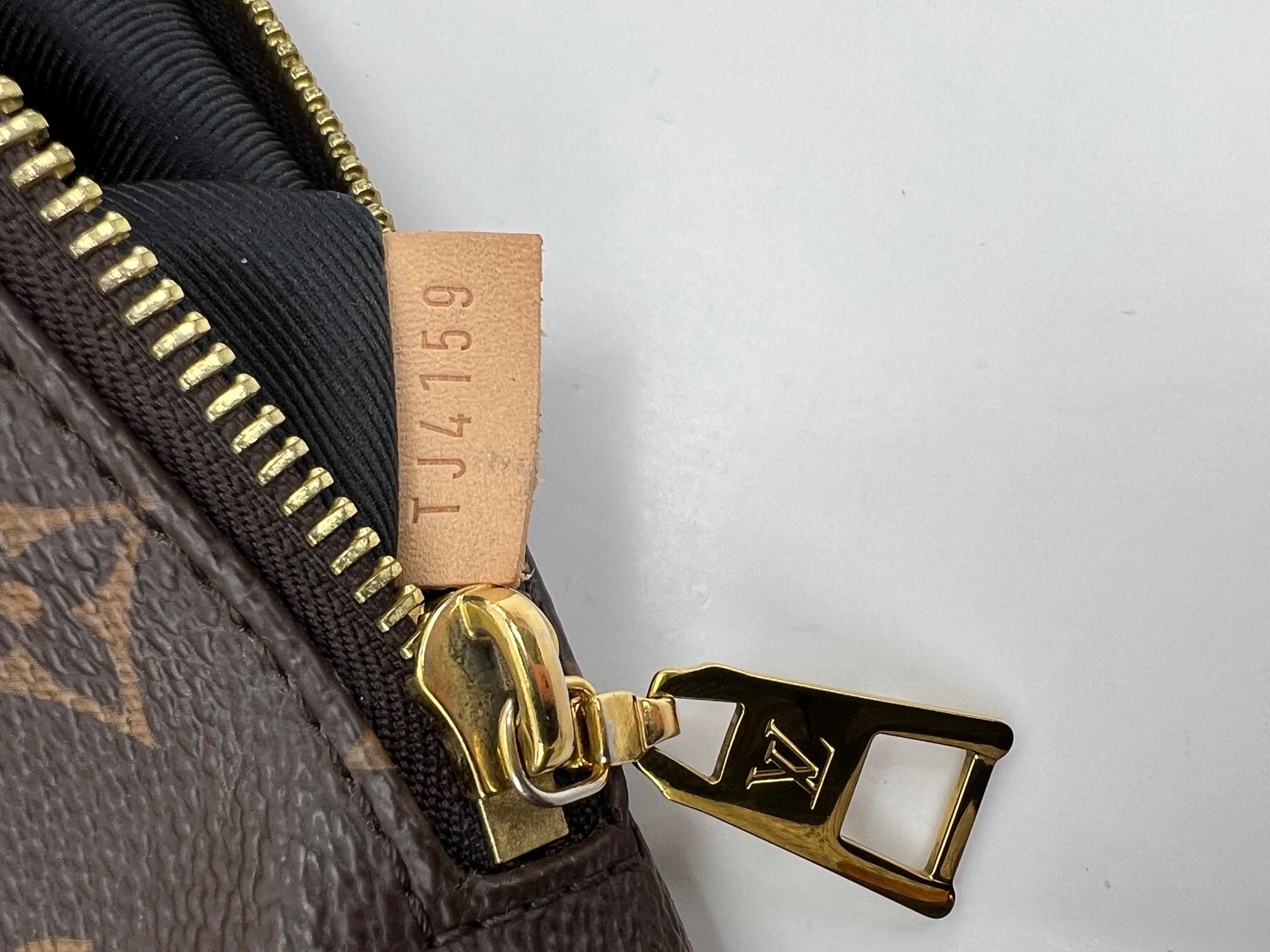 louis vuitton belt bag