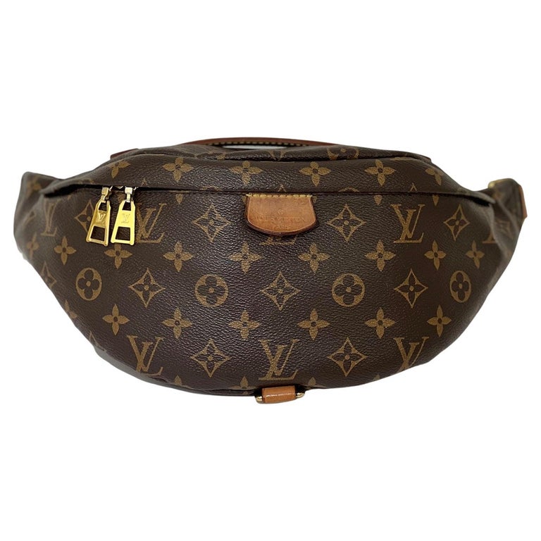 Egen Gensidig kristen Louis Vuitton Monogram Bumbag Belt Bag Crossbody at 1stDibs