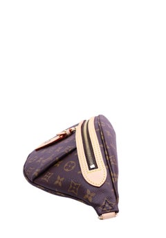 Louis Vuitton Monogram Bumbag Belt Bag