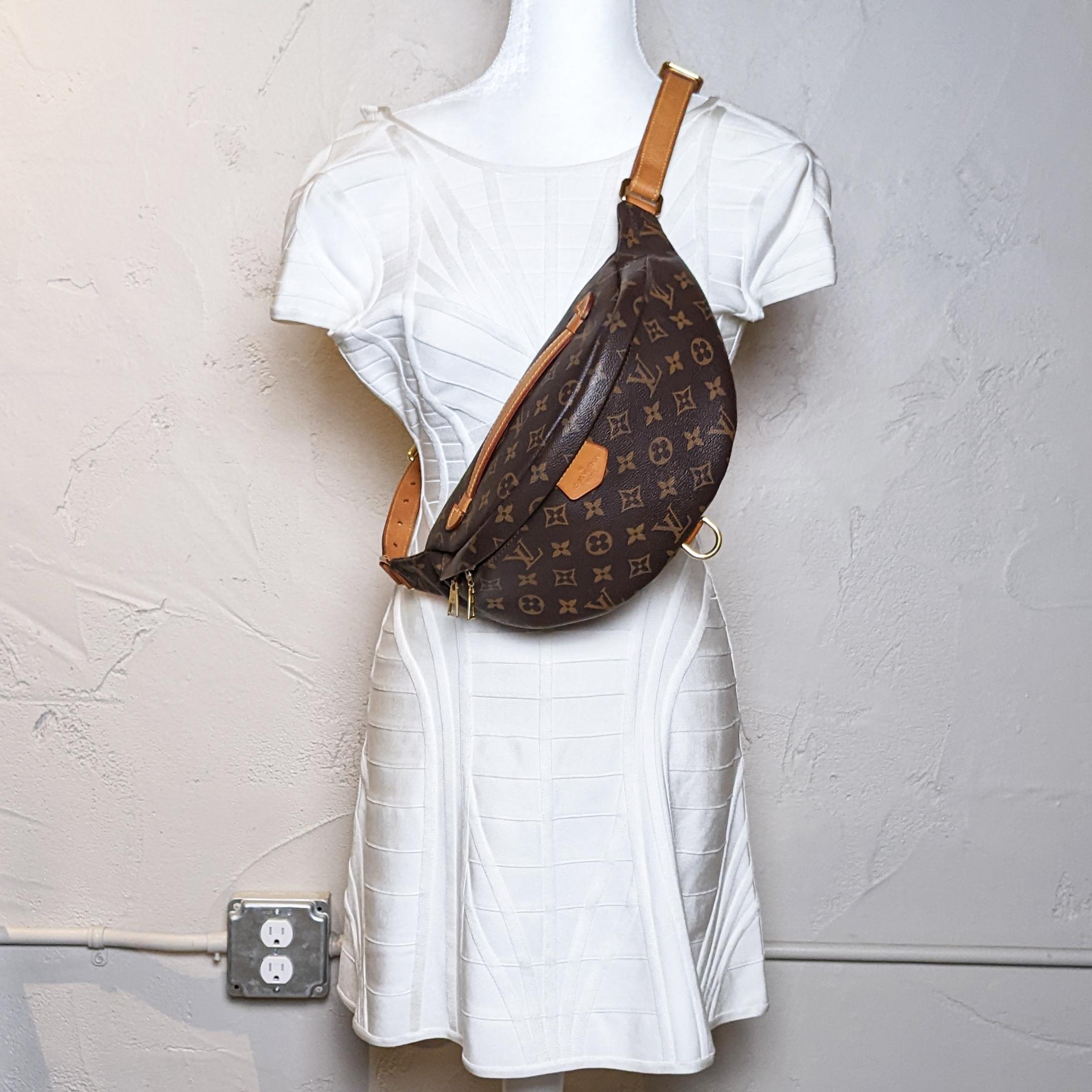 Louis Vuitton Monogram Bumbag Belt Bag 3