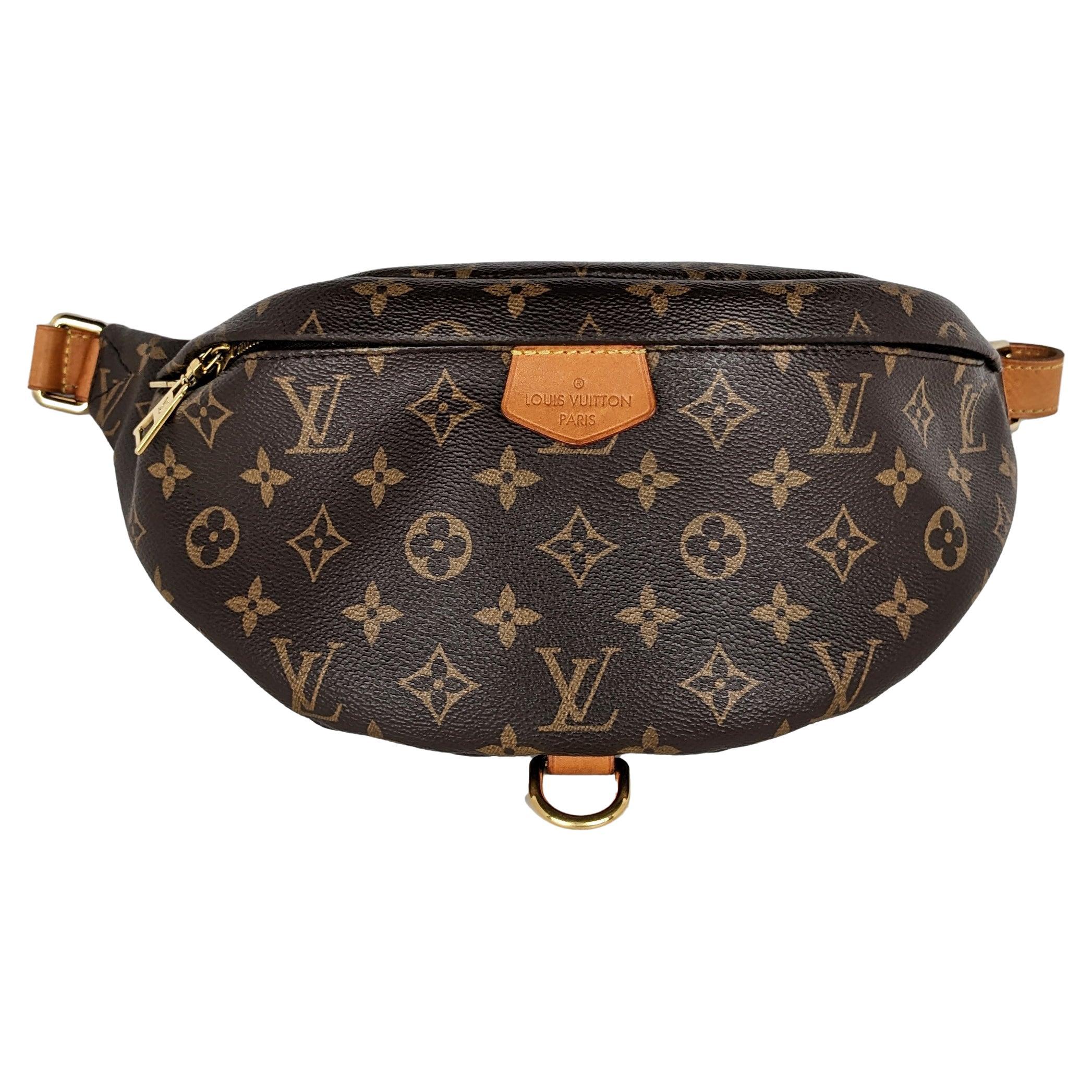 Louis Vuitton Monogram Bumbag Belt Bag