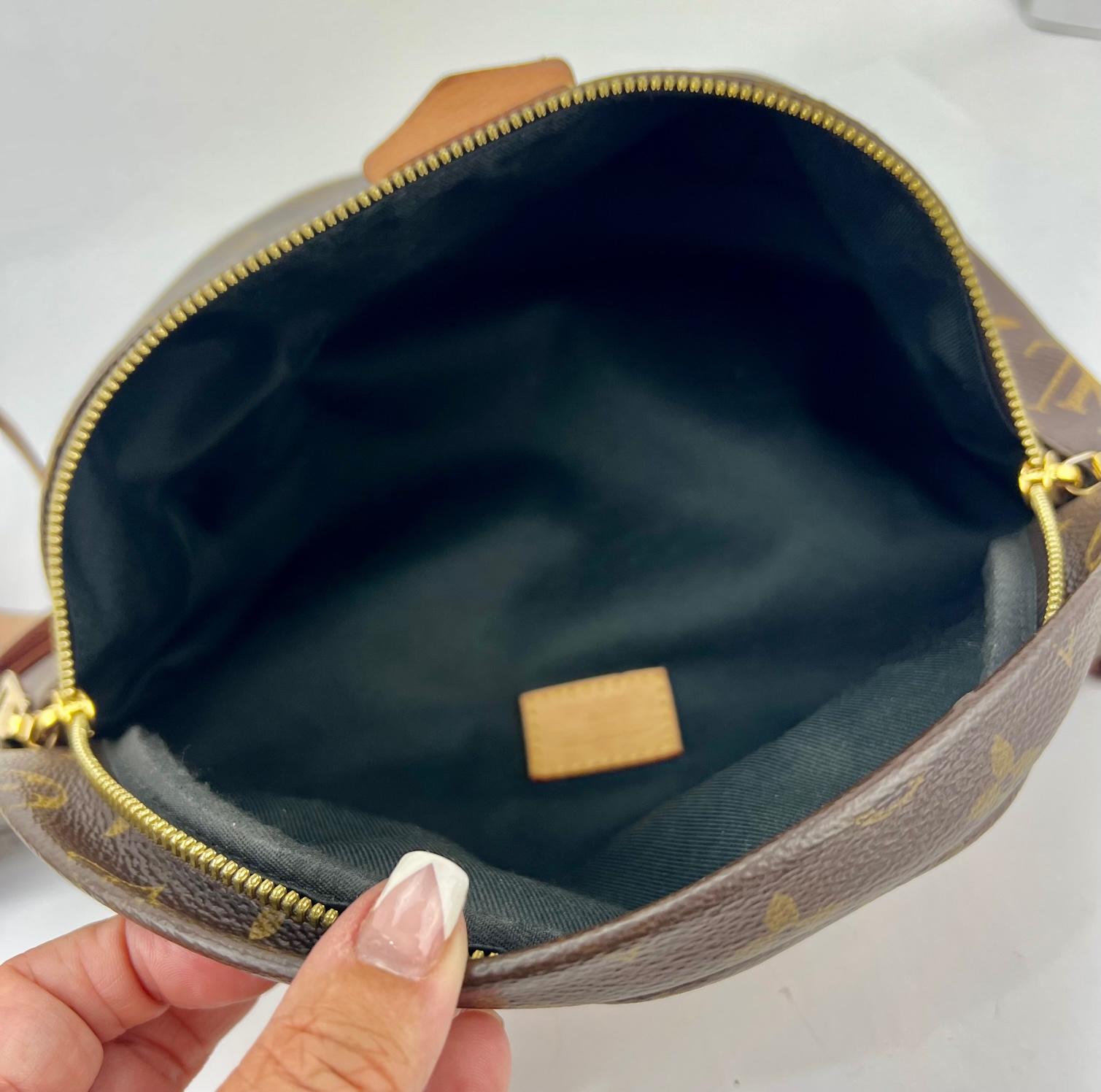 Louis Vuitton Monogram Bumbag Fanny Pack Belt Bag Crossbody  1