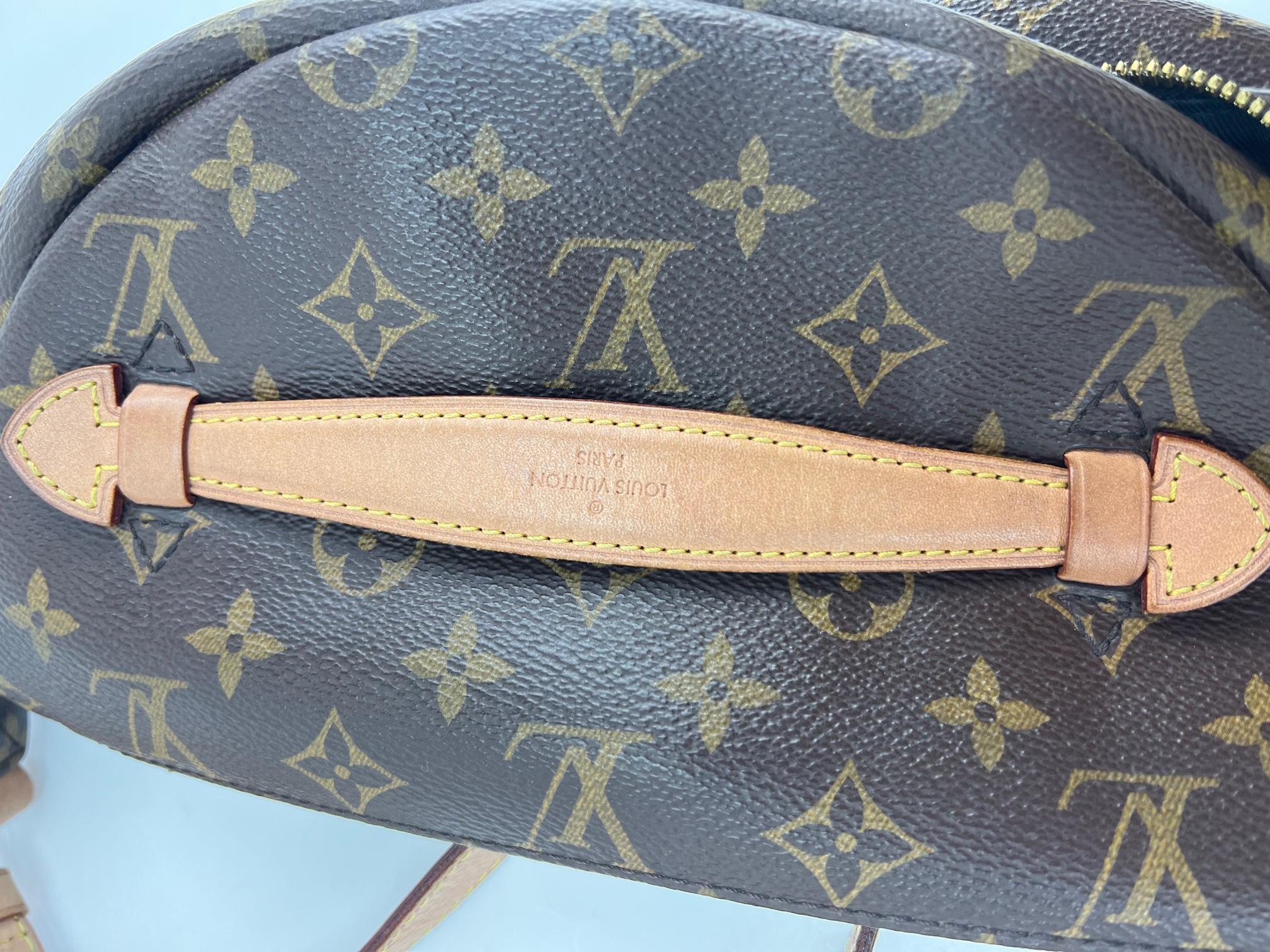 Louis Vuitton Monogram Bumbag Fanny Pack Belt Bag Crossbody  2