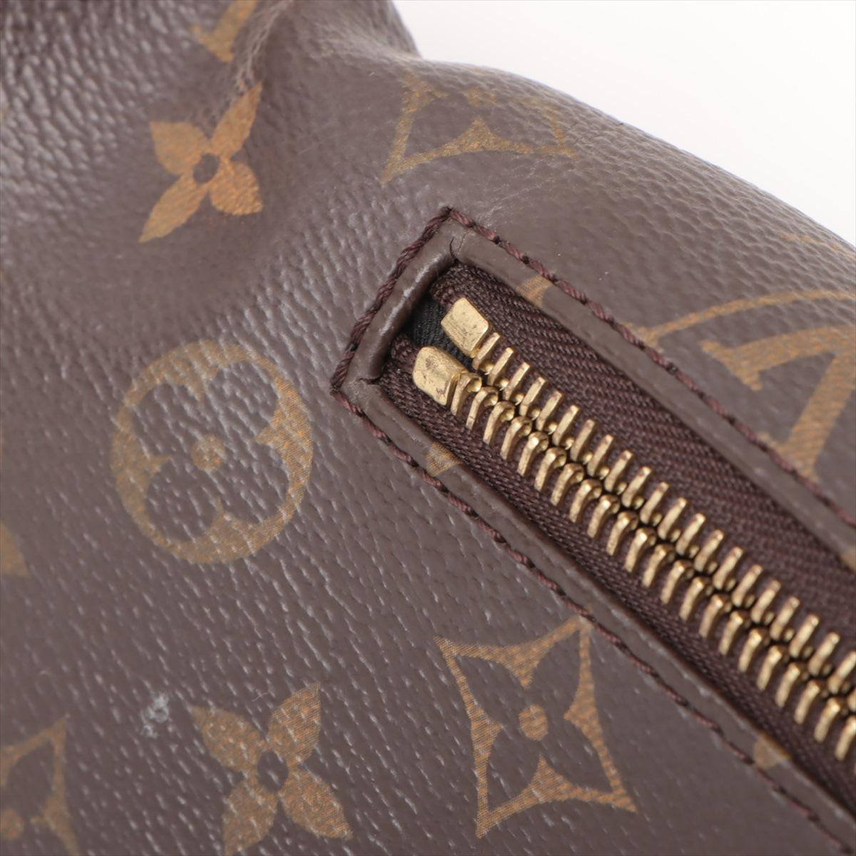 Louis Vuitton Monogram Bumbag 5