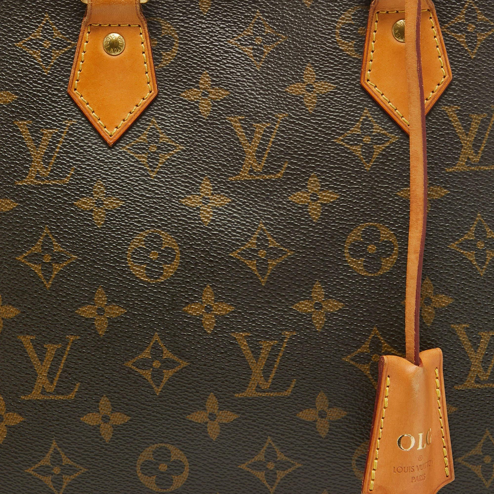 Louis Vuitton Monogram Canvas Alma MM Bag For Sale 4
