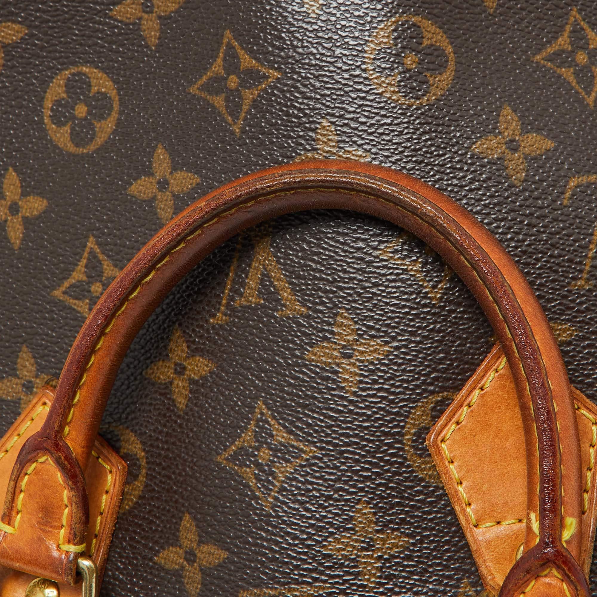 Women's Louis Vuitton Monogram Canvas Alma PM Bag