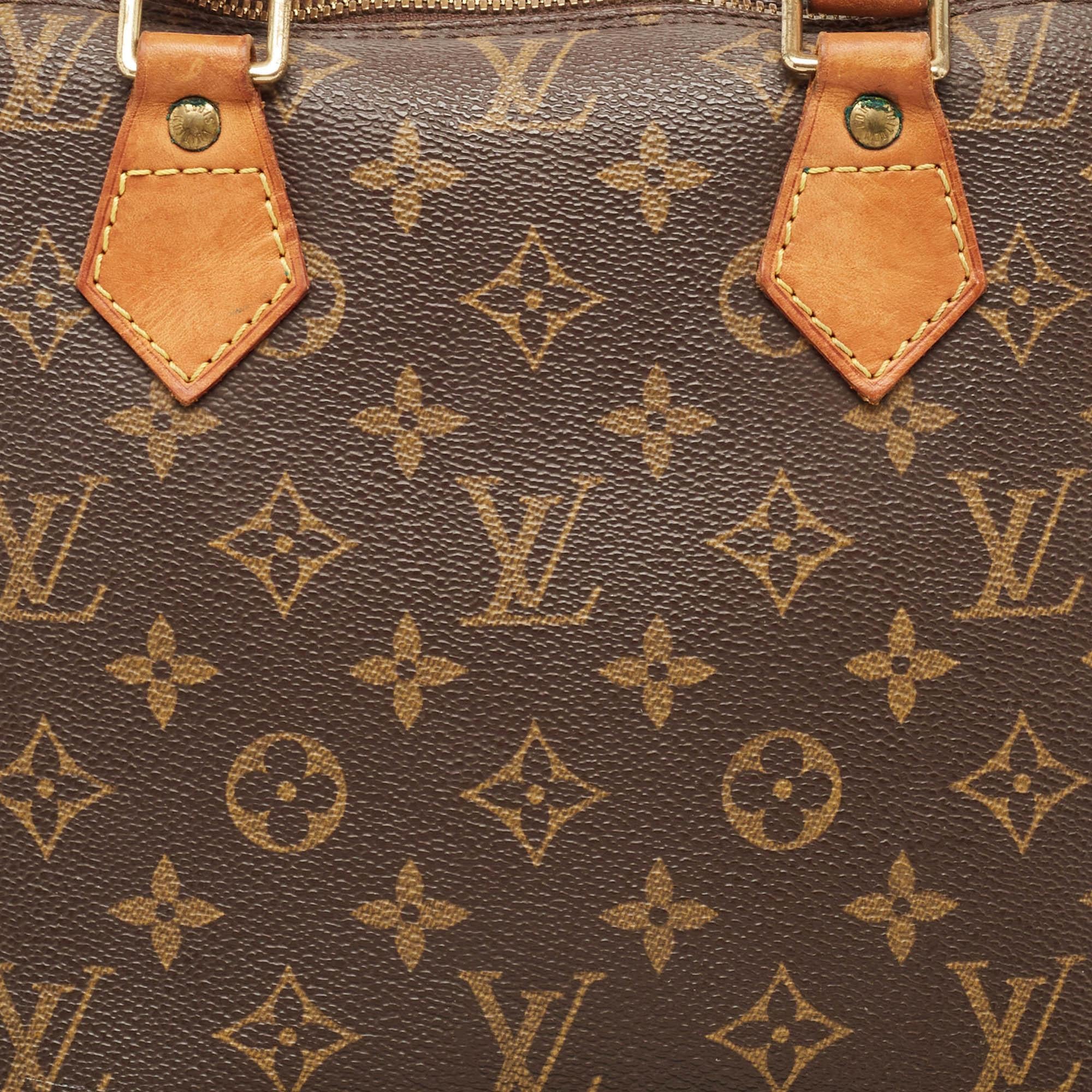 Women's Louis Vuitton Monogram Canvas Alma PM Bag