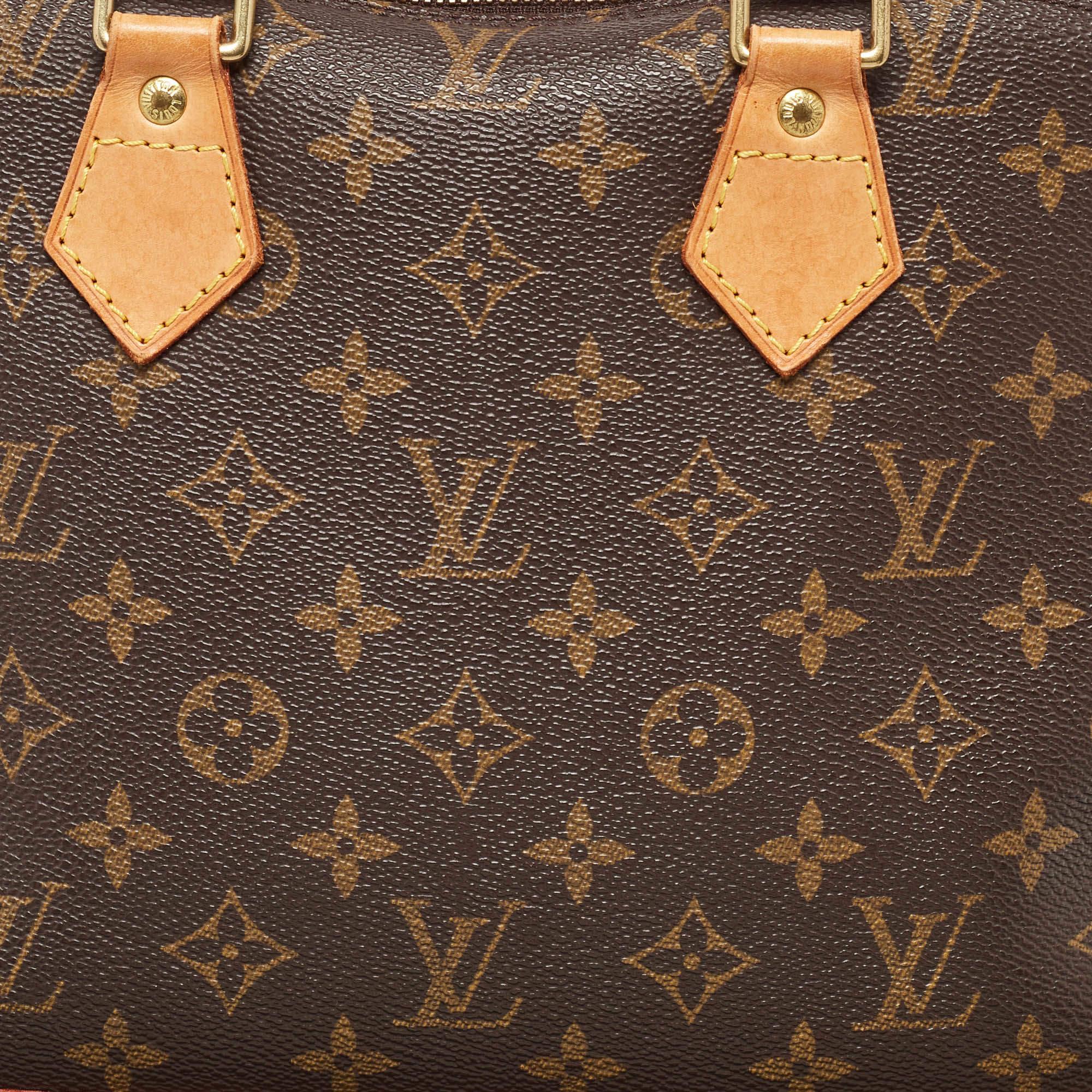 Louis Vuitton Monogram Canvas Alma PM Bag 2