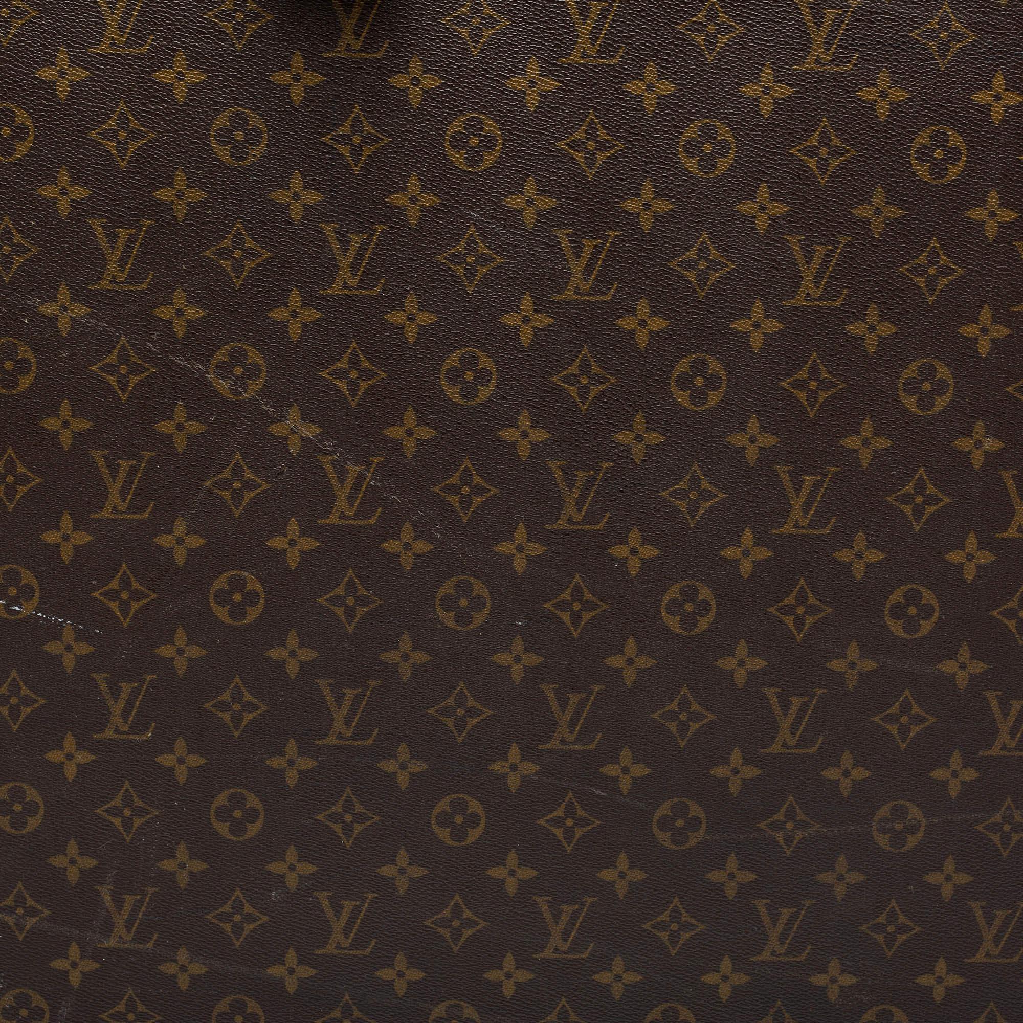 Louis Vuitton Monogram Canvas Alzer 75 Suitcase 12