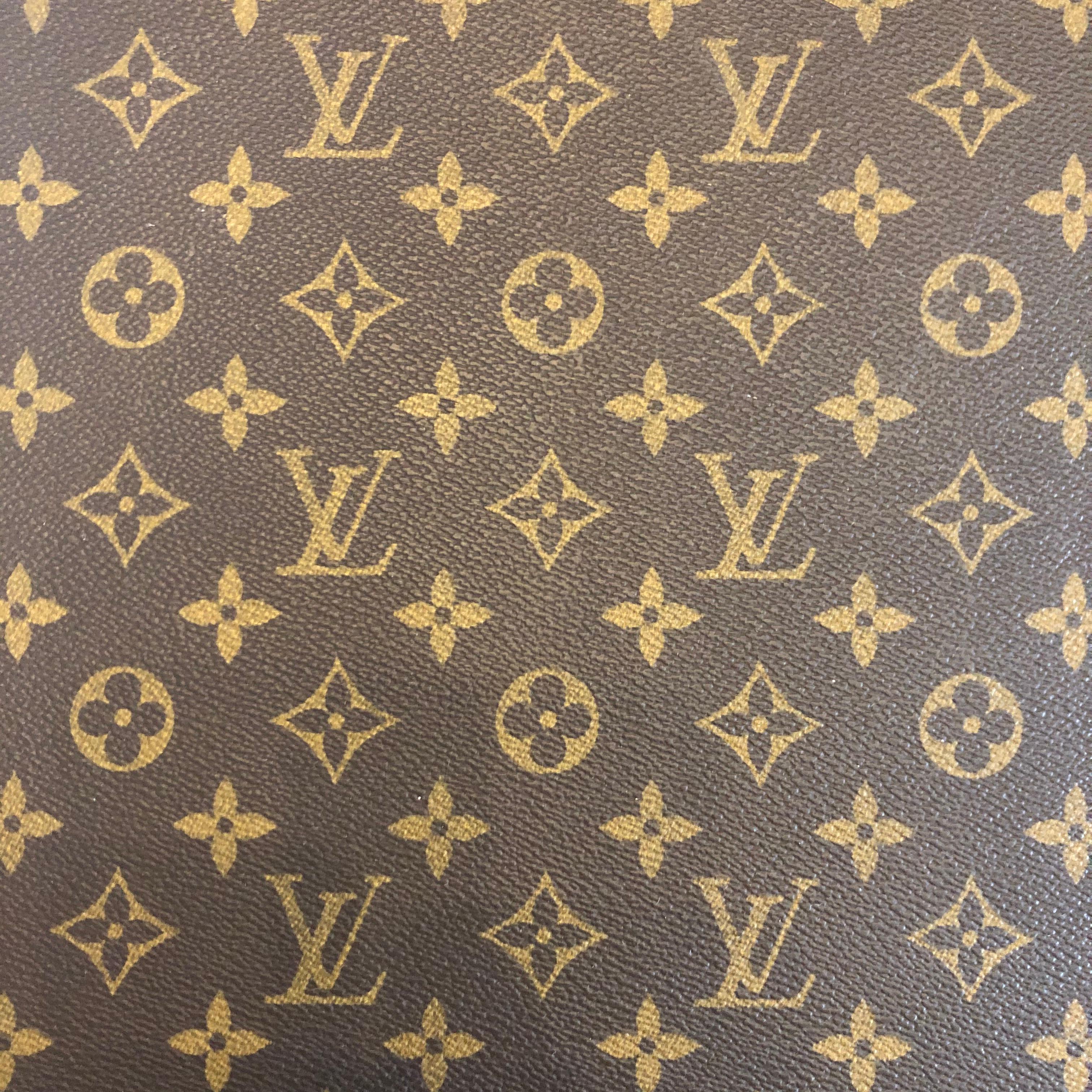 Louis Vuitton Monogram Canvas 