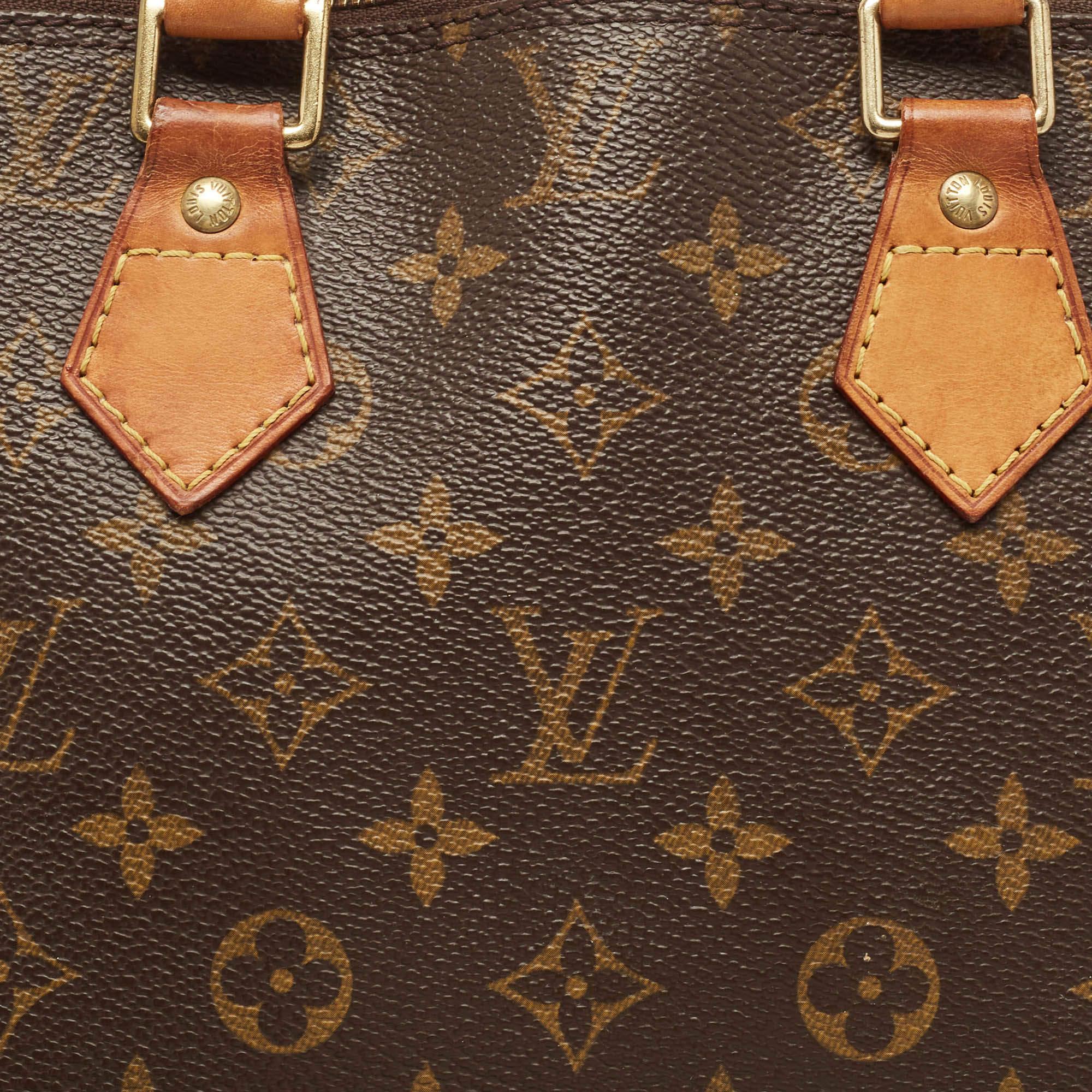 Louis Vuitton Monogram Canvas and Leather Alma PM Bag For Sale 8