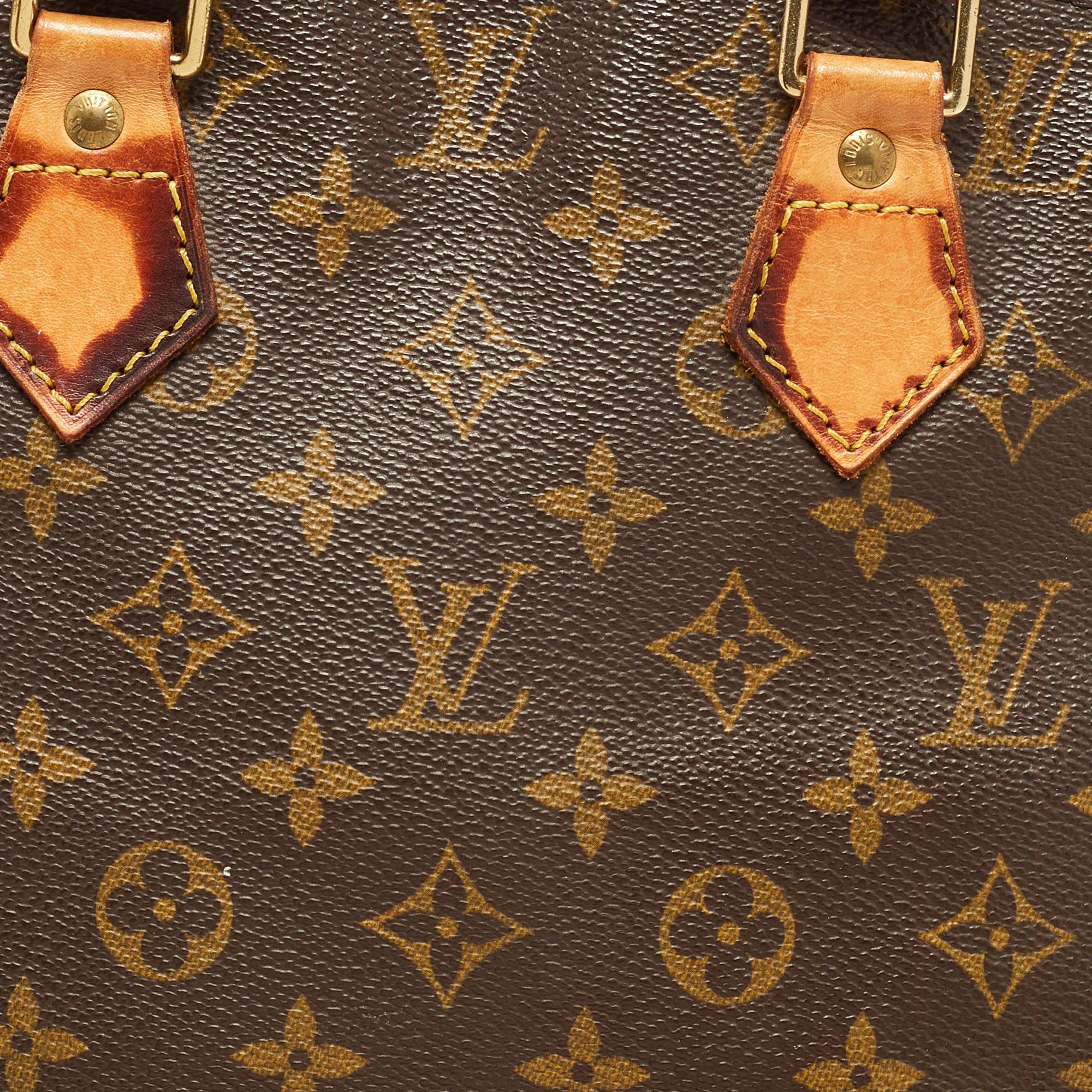 Louis Vuitton Monogram Canvas and Leather Alma PM Bag 12