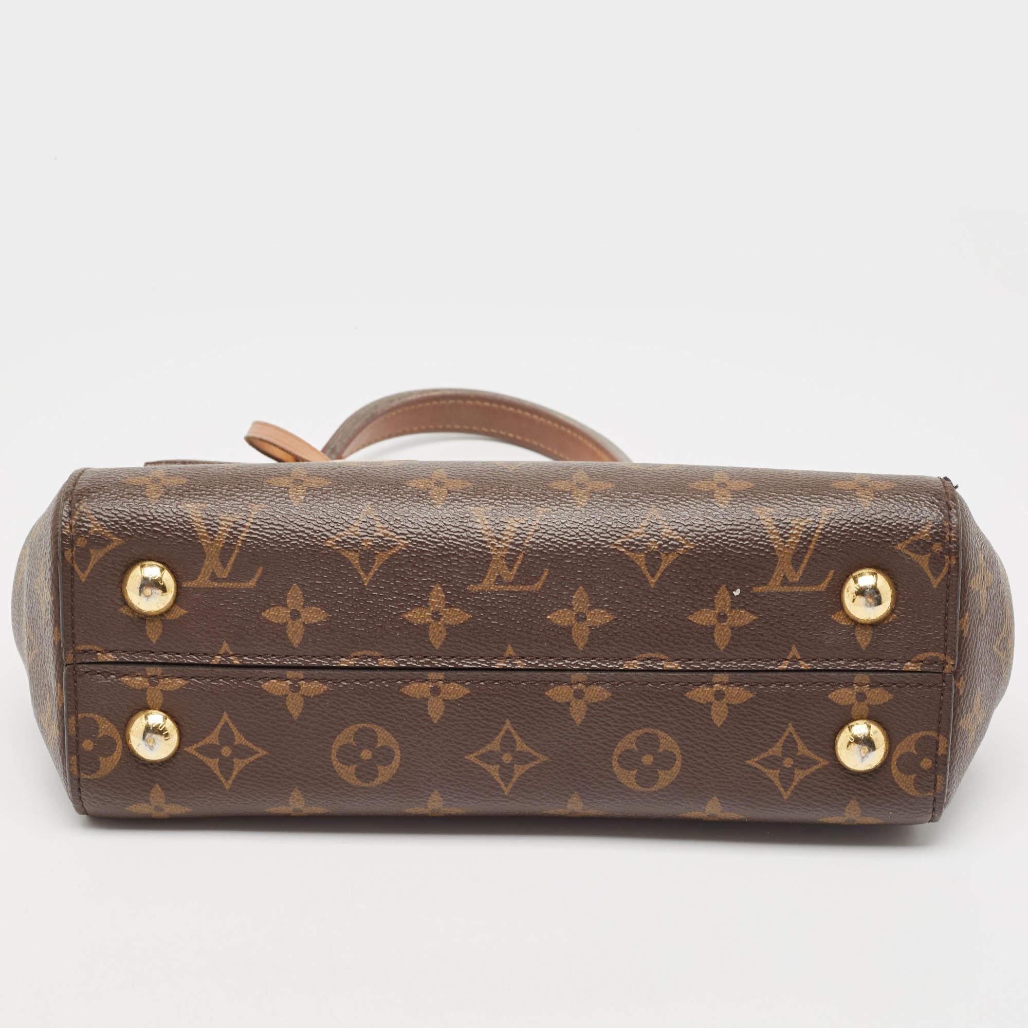 Louis Vuitton Monogram Canvas and Leather Cluny BB Bag For Sale 12