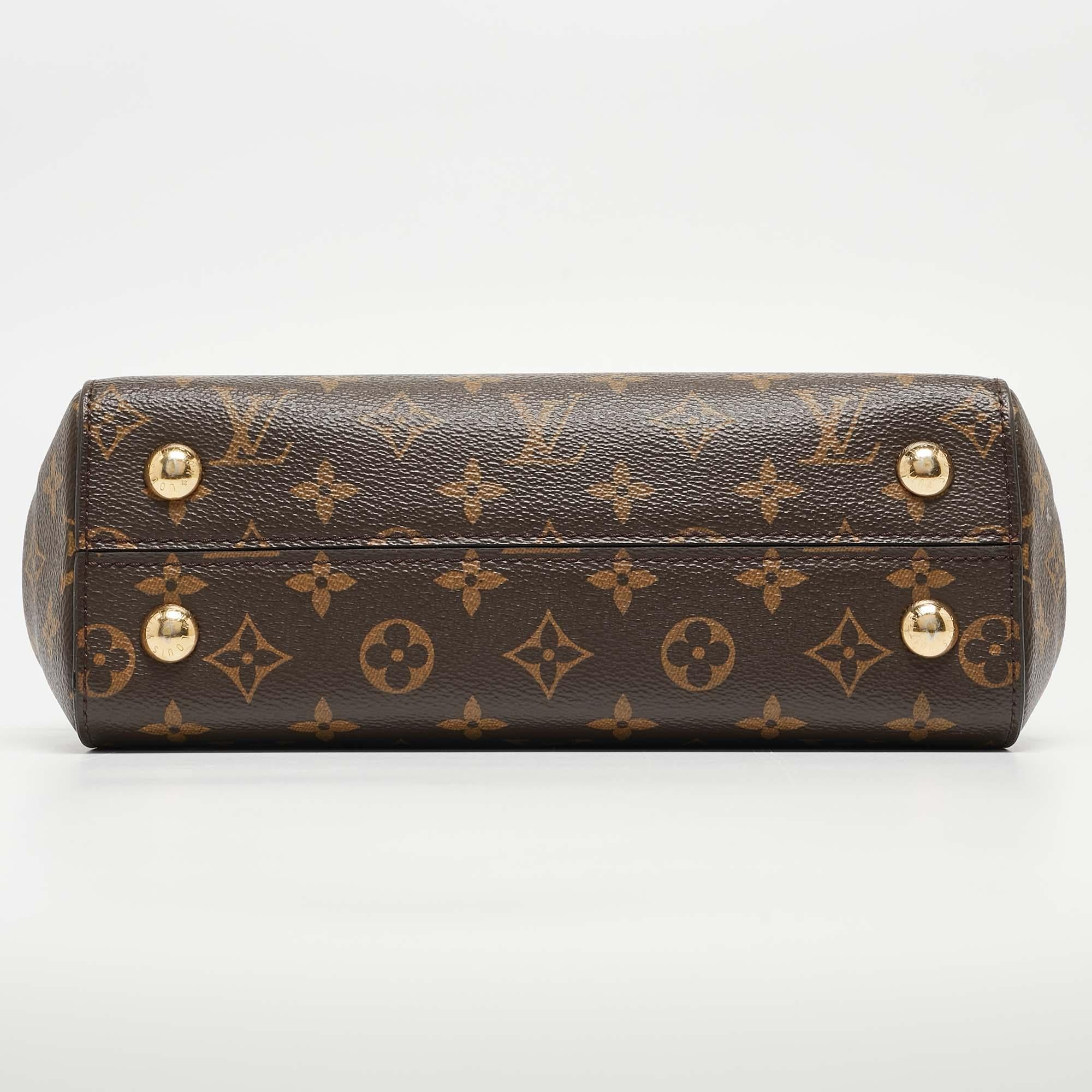 Louis Vuitton Monogram Canvas and Leather Cluny BB Bag 1