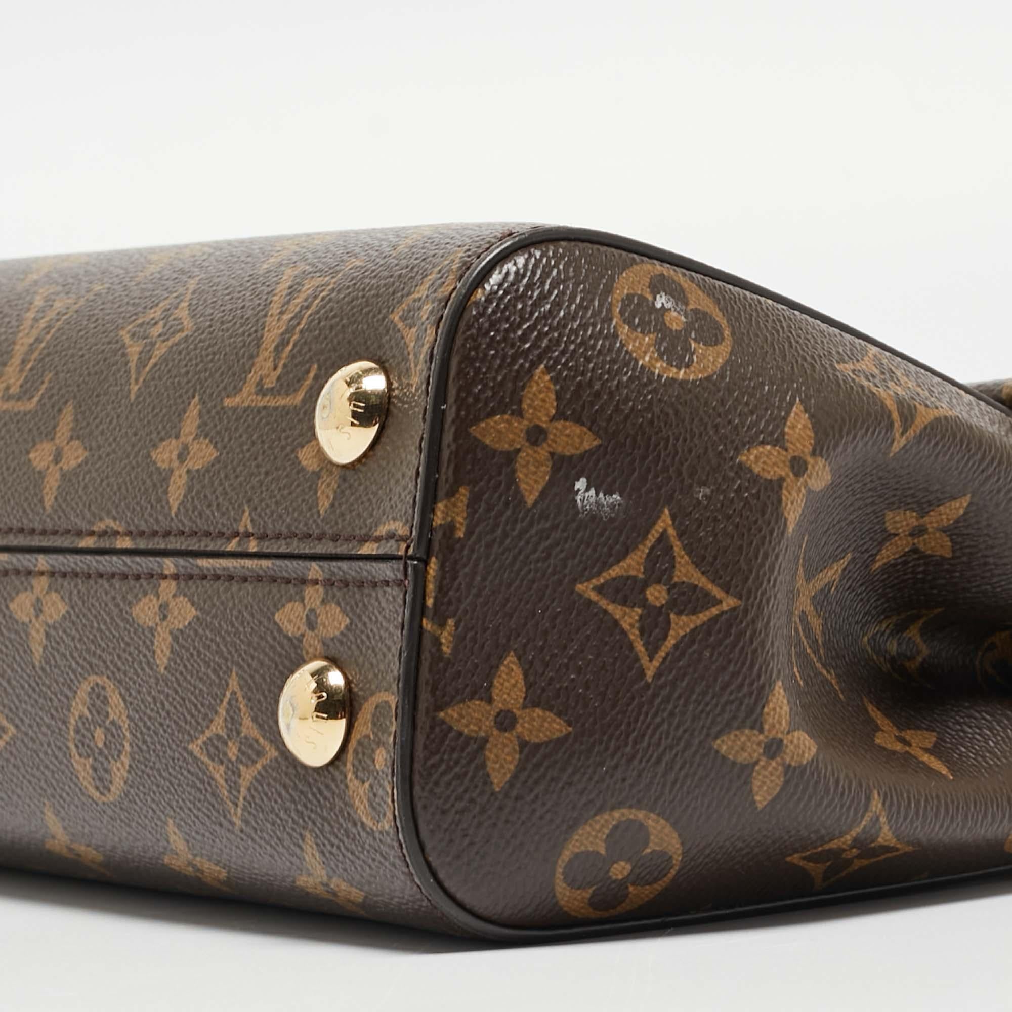 Louis Vuitton Monogram Canvas and Leather Cluny BB Bag 3