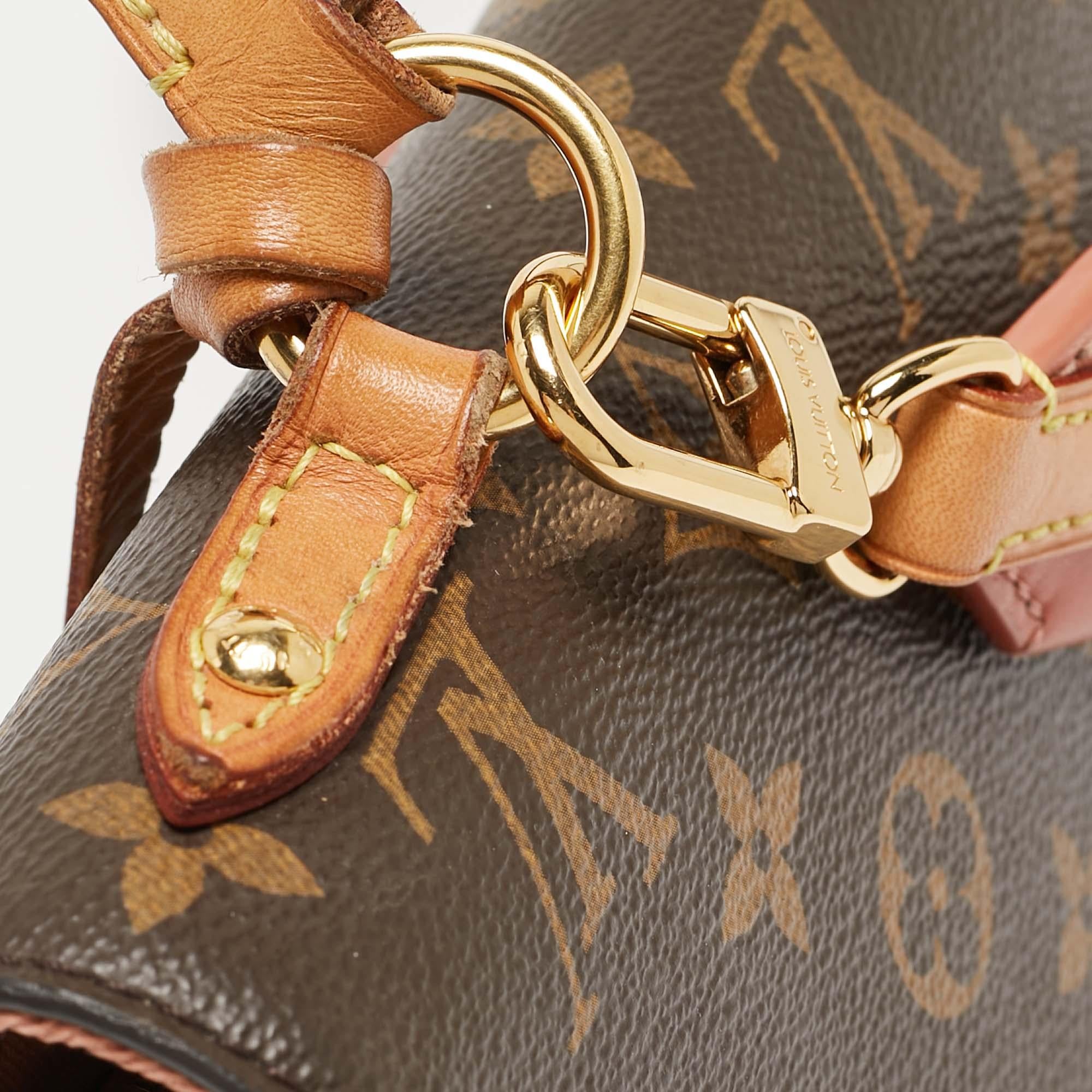 Louis Vuitton Monogram Canvas and Leather Cluny BB Bag 4