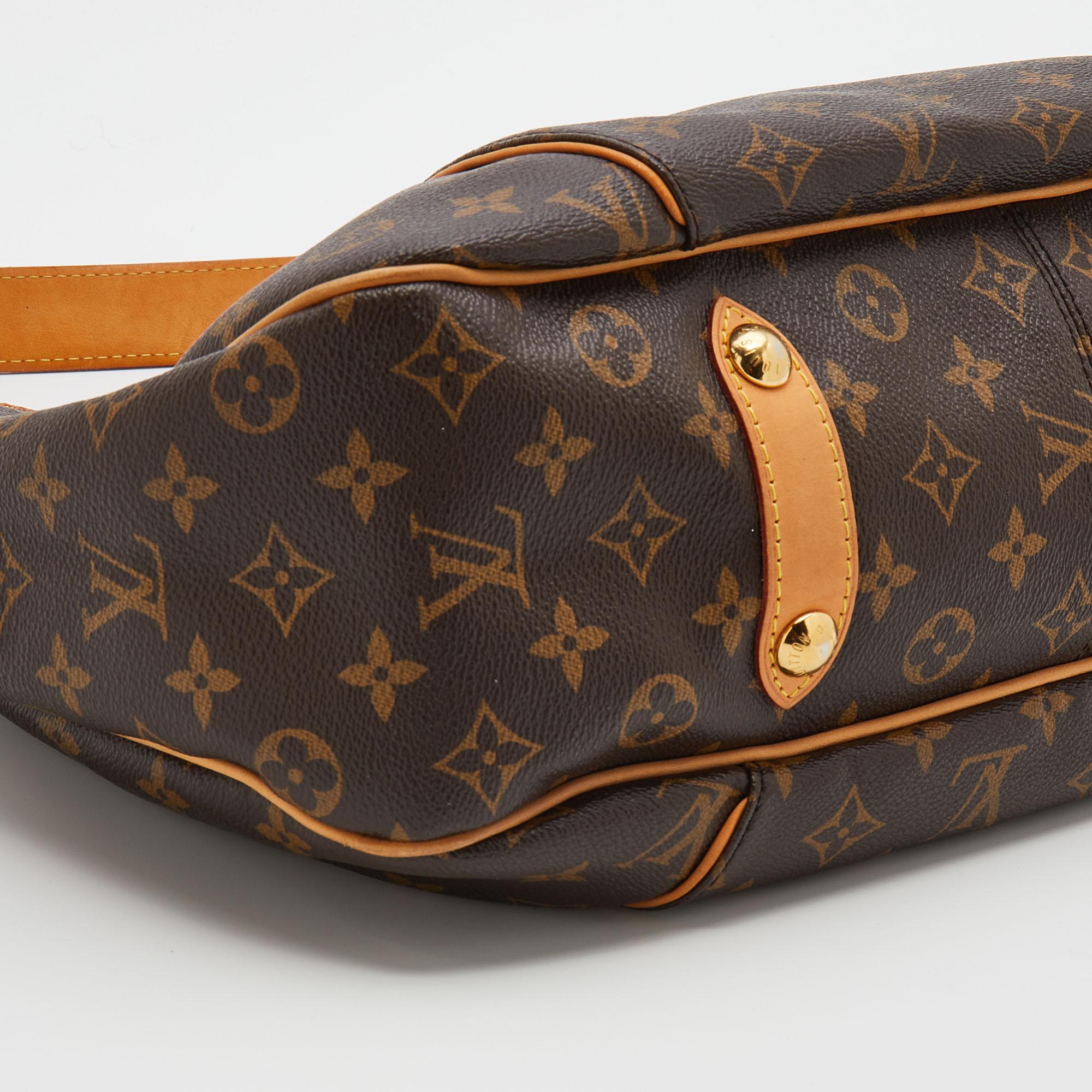 Louis Vuitton Monogram Canvas and Leather Galliera PM Bag 6