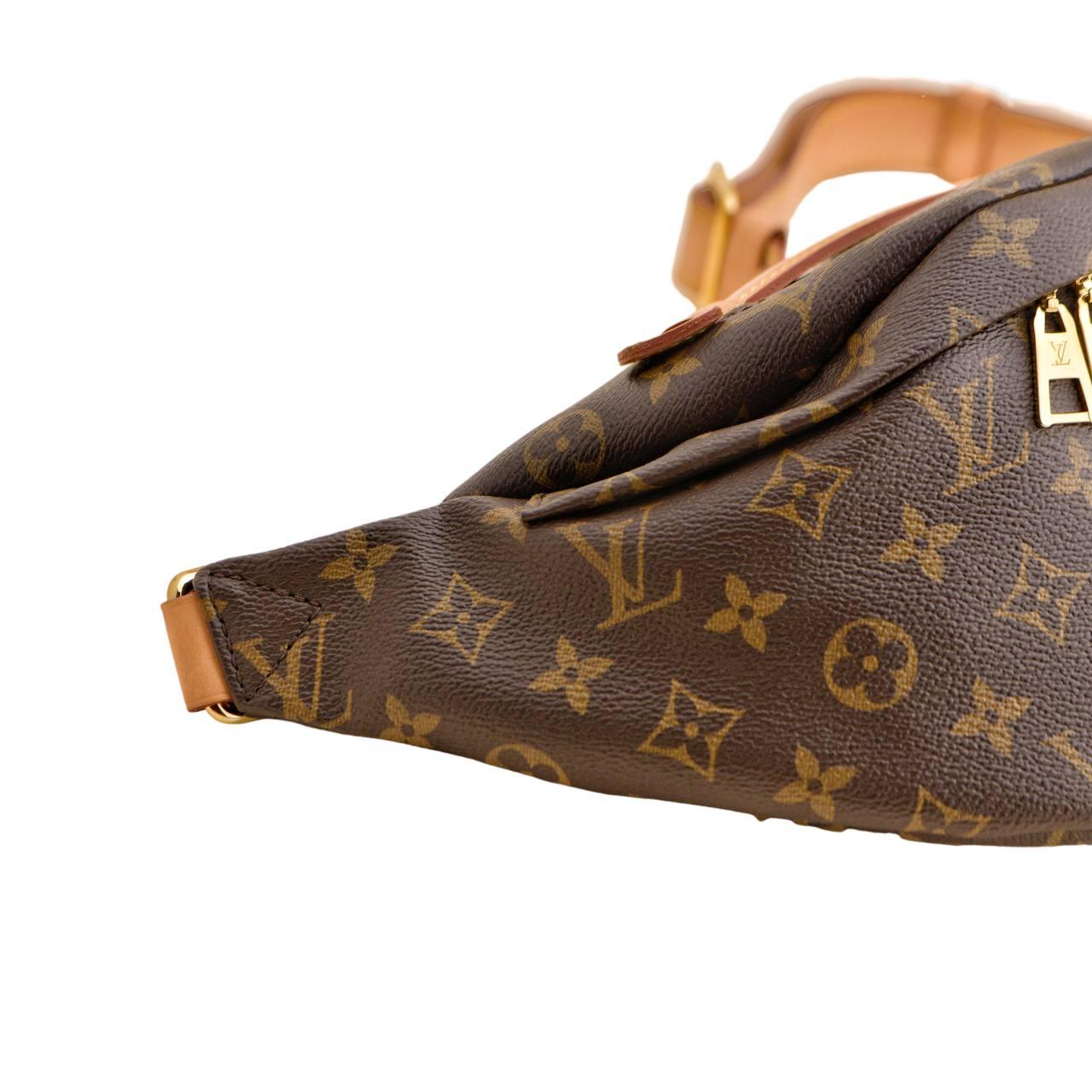 Louis Vuitton Monogram Canvas Bumbag For Sale 6