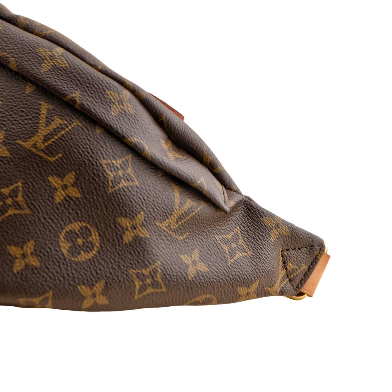 Louis Vuitton Monogram Canvas Bumbag For Sale 7