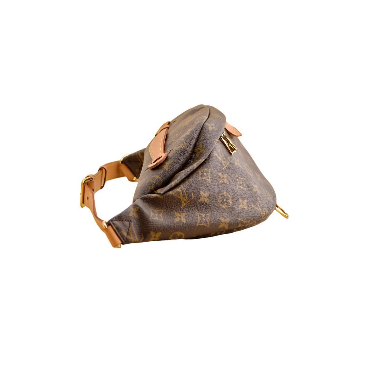 Louis Vuitton Monogram Canvas Bumbag For Sale 8