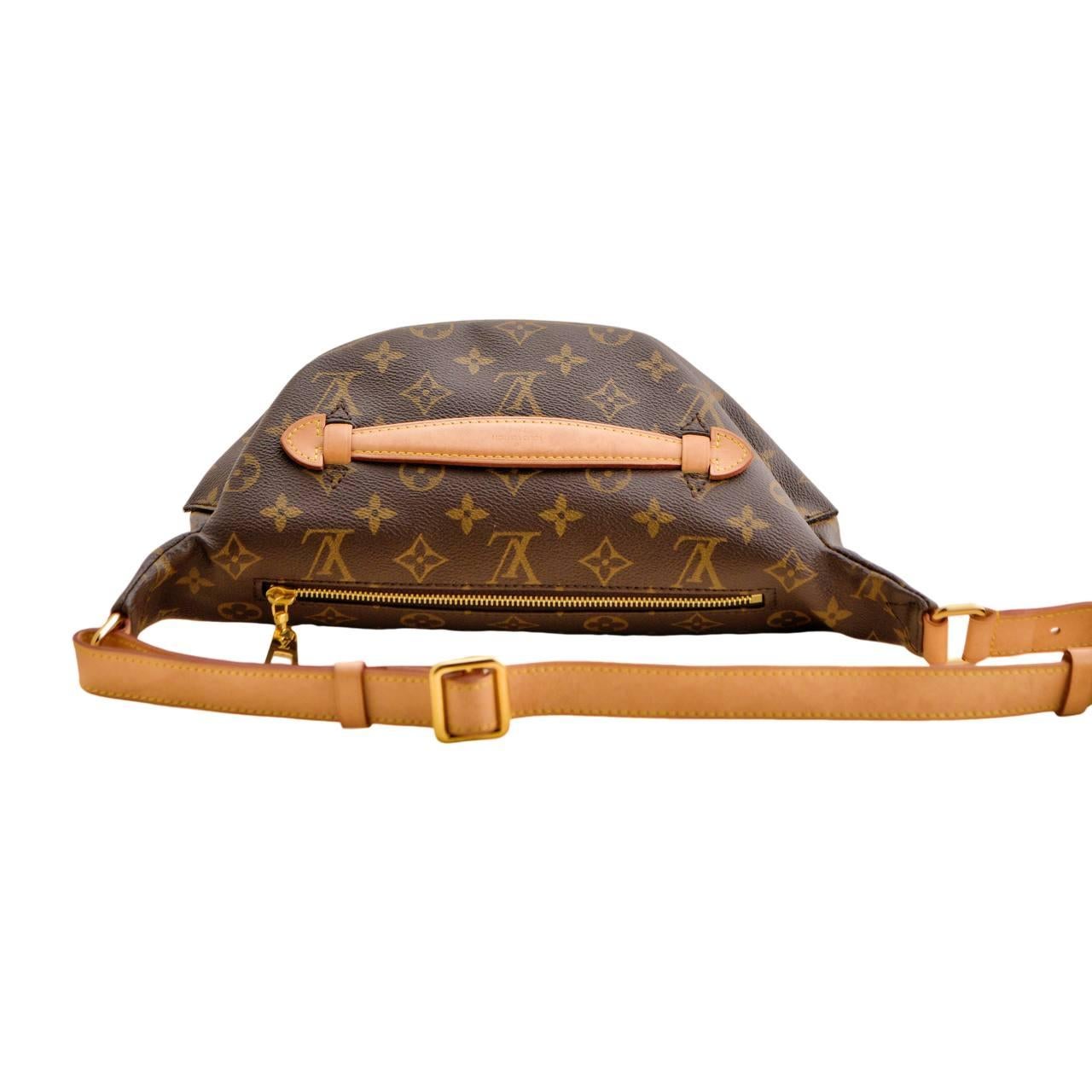 Louis Vuitton Monogram Canvas Bumbag For Sale 10