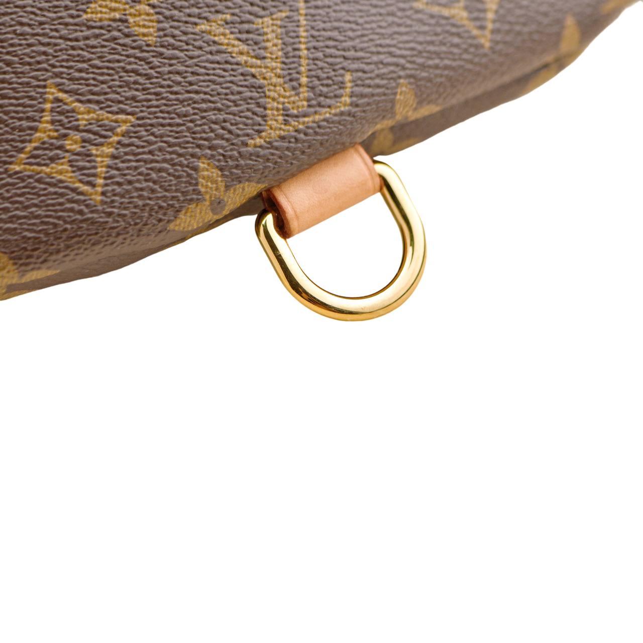 Louis Vuitton Monogram Canvas Bumbag For Sale 2