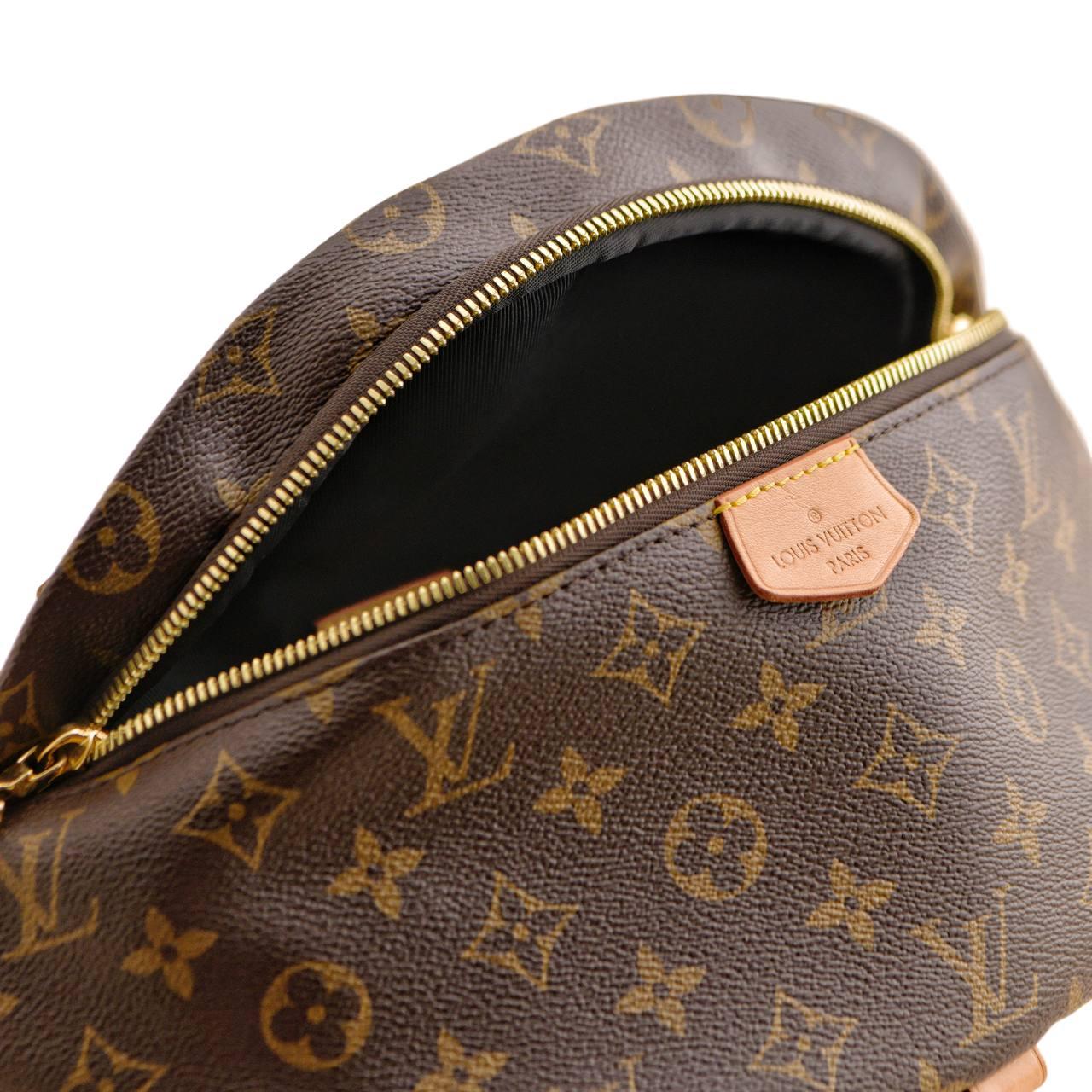 Louis Vuitton Monogram Canvas Bumbag For Sale 3