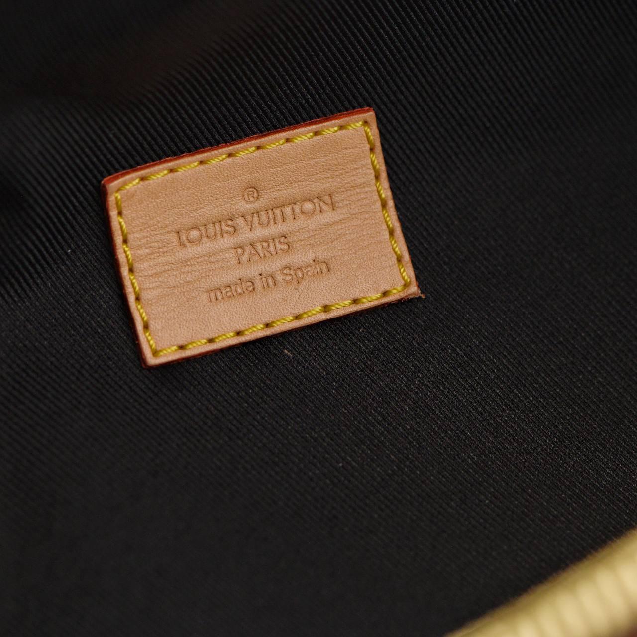 Louis Vuitton Monogram Canvas Bumbag For Sale 4
